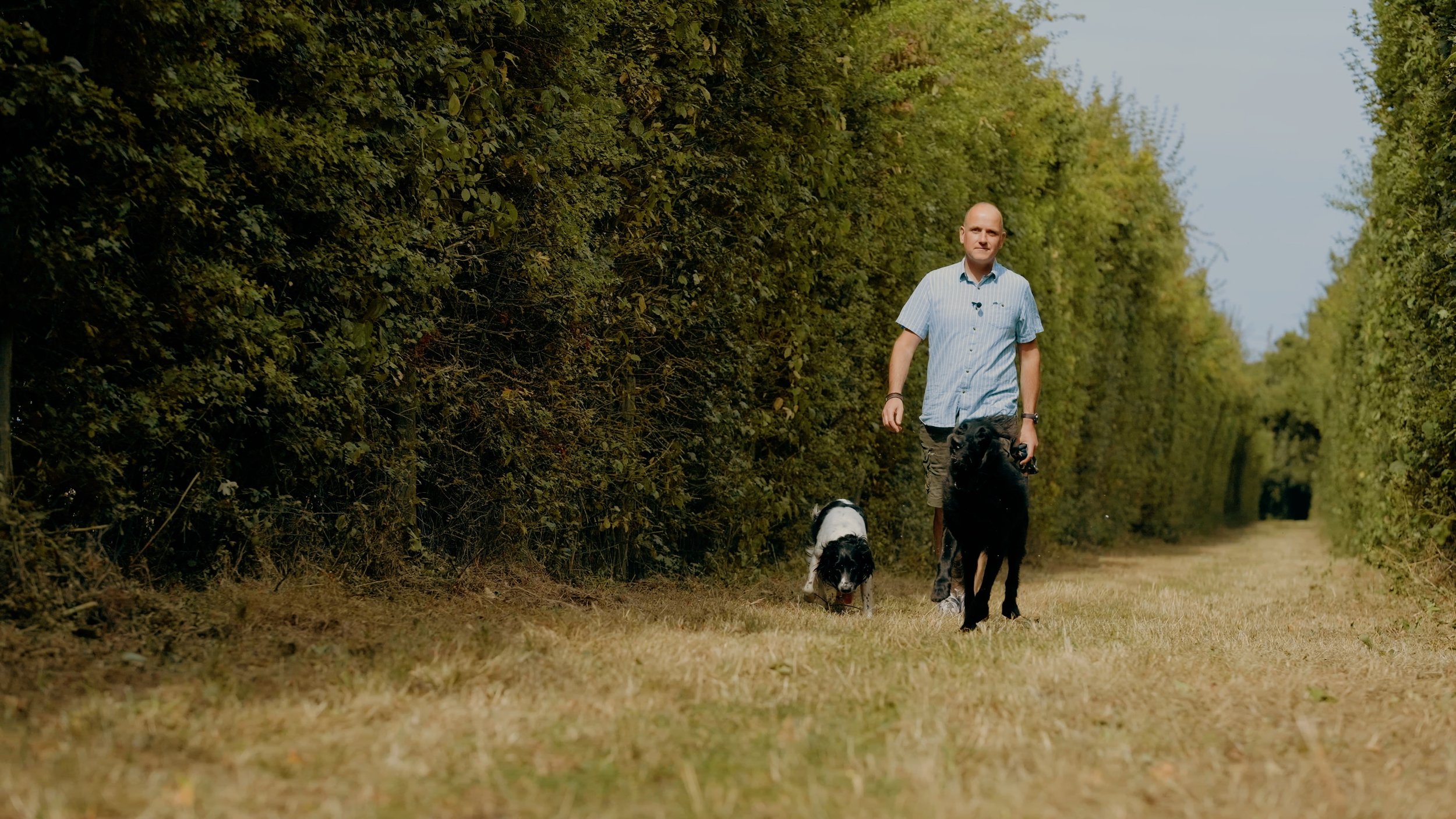 A country walk at the George and Dragon, Swallowfield