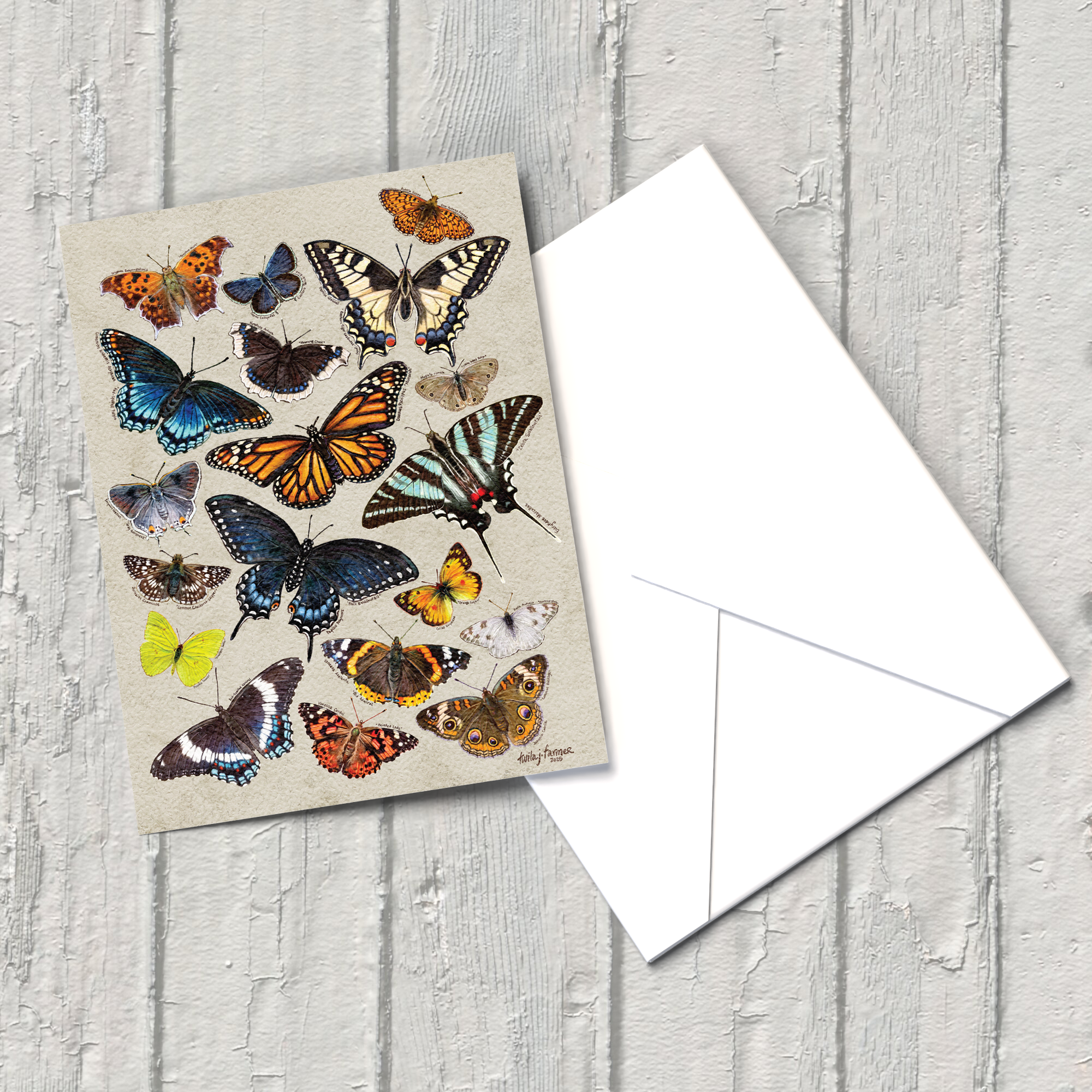 BLA-003_MissouriButterflies.png