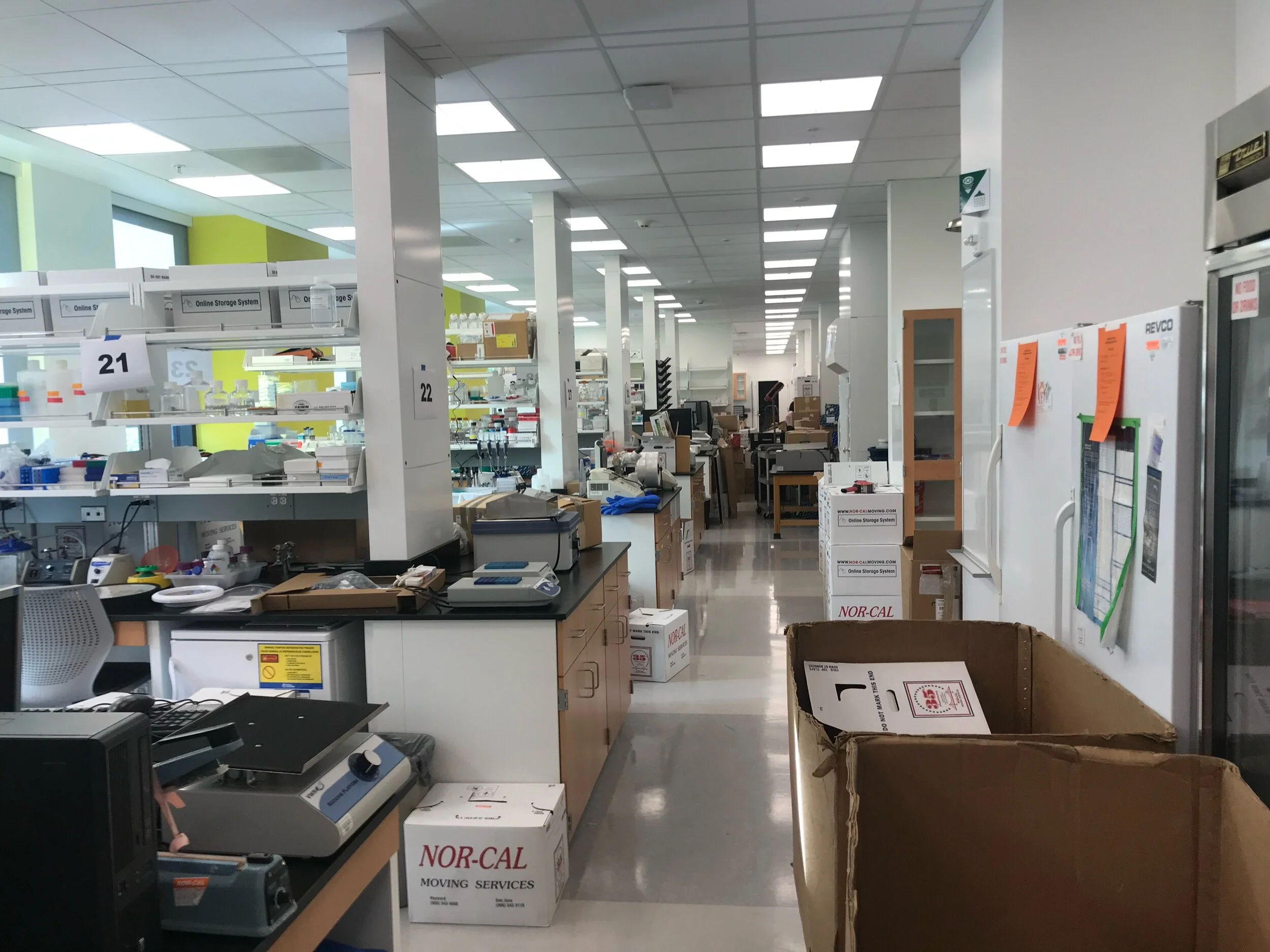 January 2019 Move in day to new lab in the Bass Biology Building