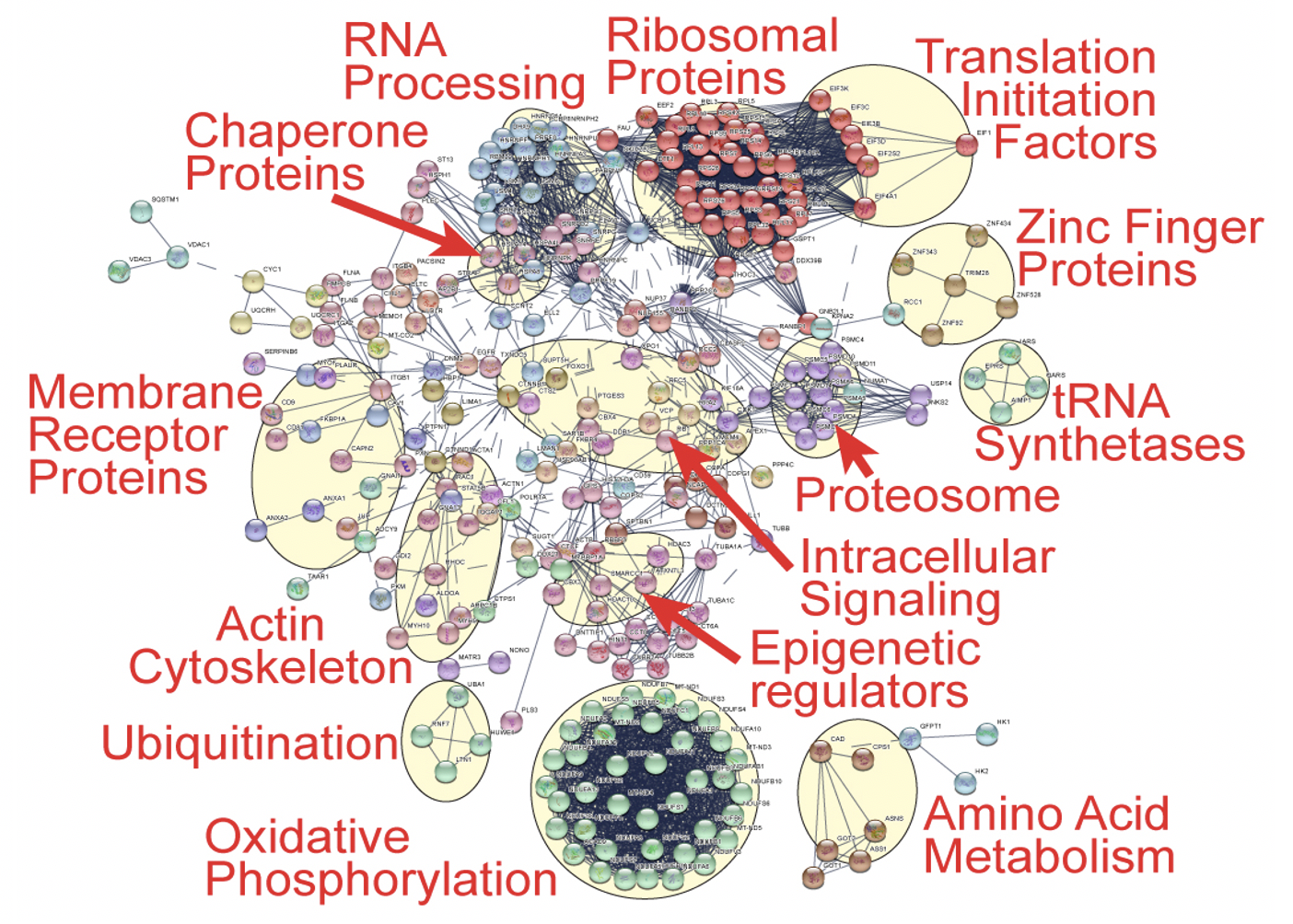 Screen Shot 2021-07-26 at 5.47.15 PM.png