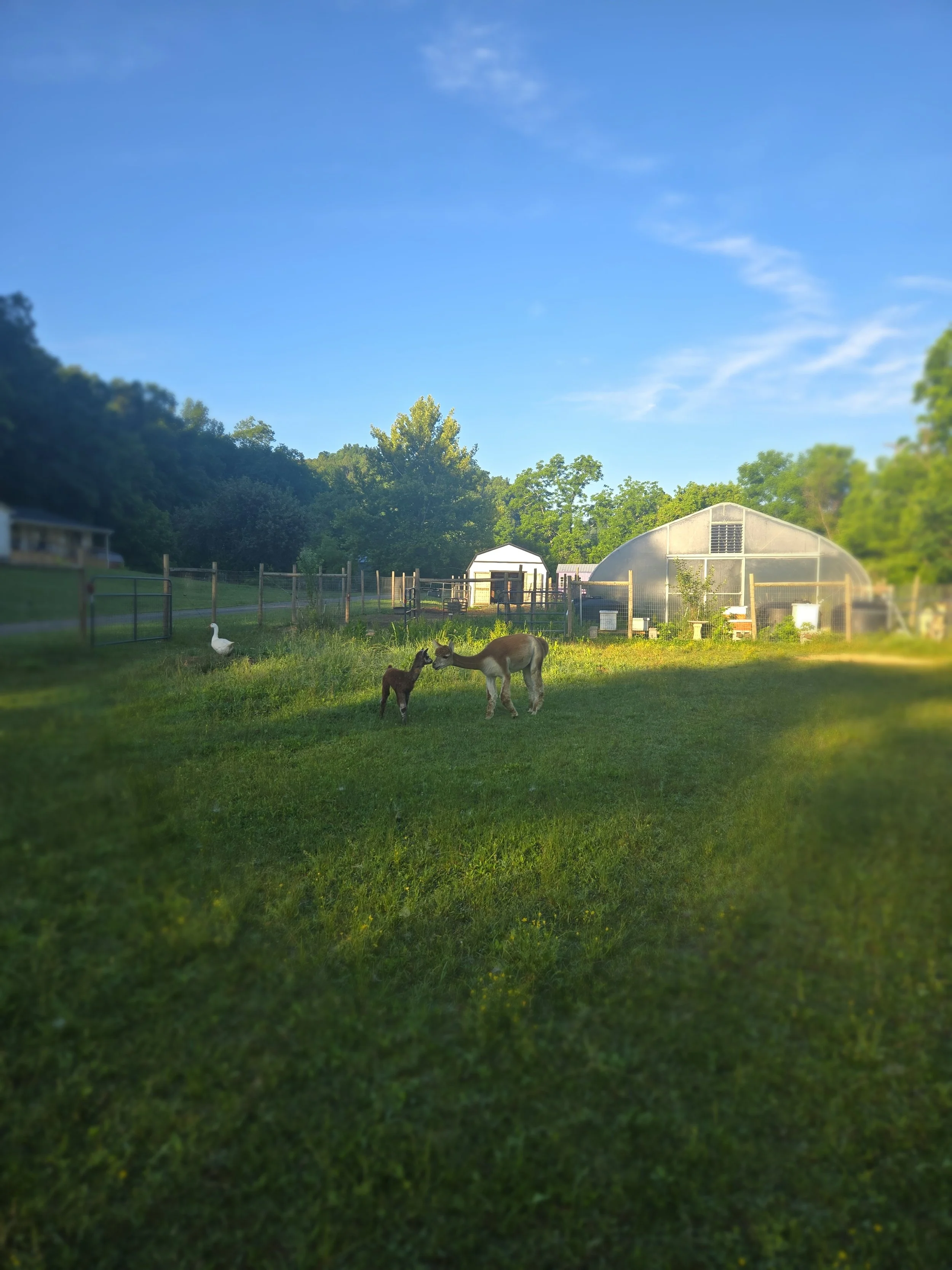20260613_072837.jpg