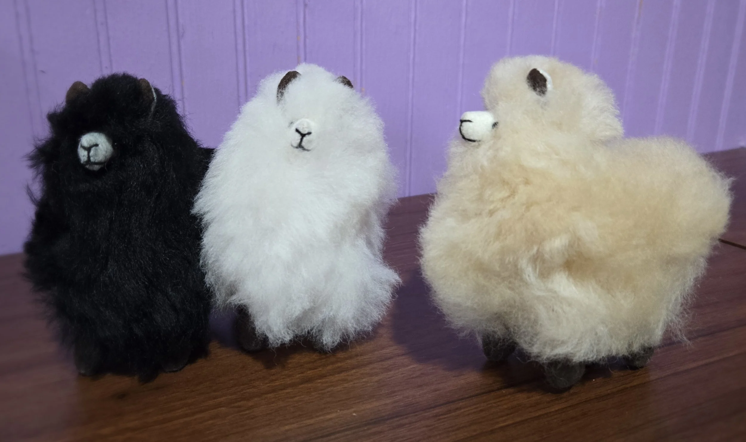 Plush Animals