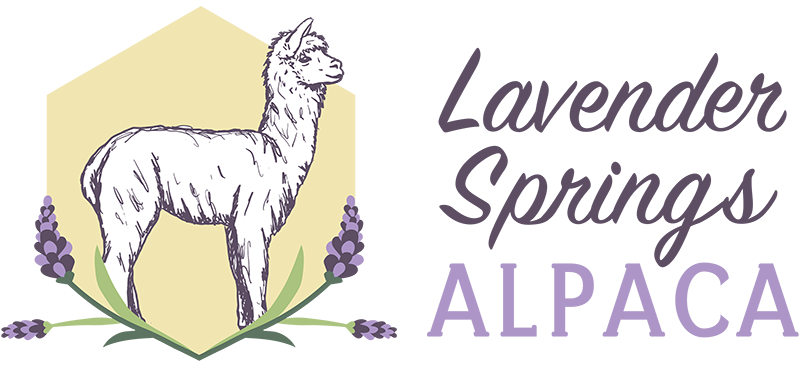Lavender Springs Alpaca