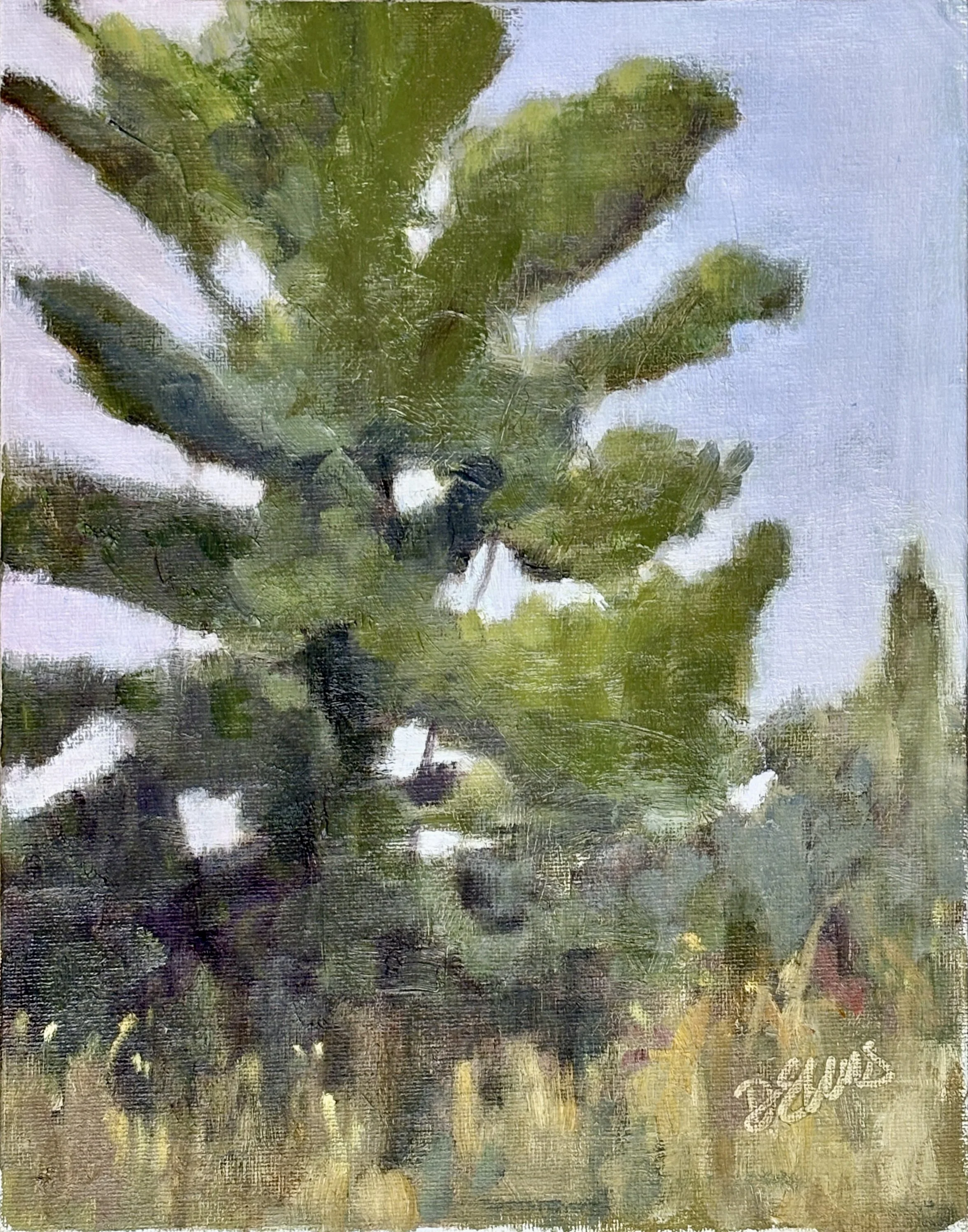 Near Holloway Mtn Rd - 12 x 9 inches -  oil on panel