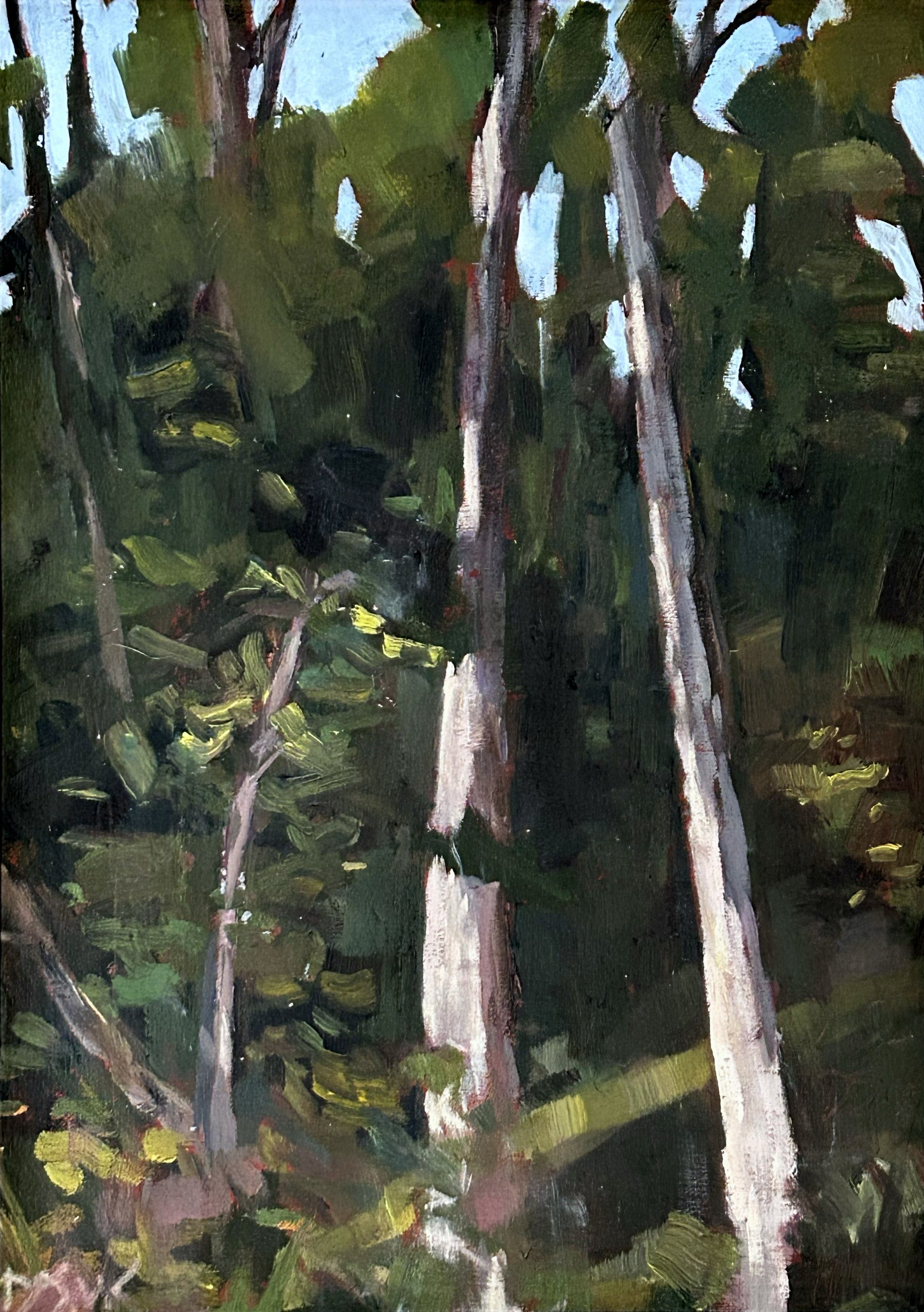 Forest Bath I (2023)

oil on linen panel en plein air 
12 x 9 inches framed

