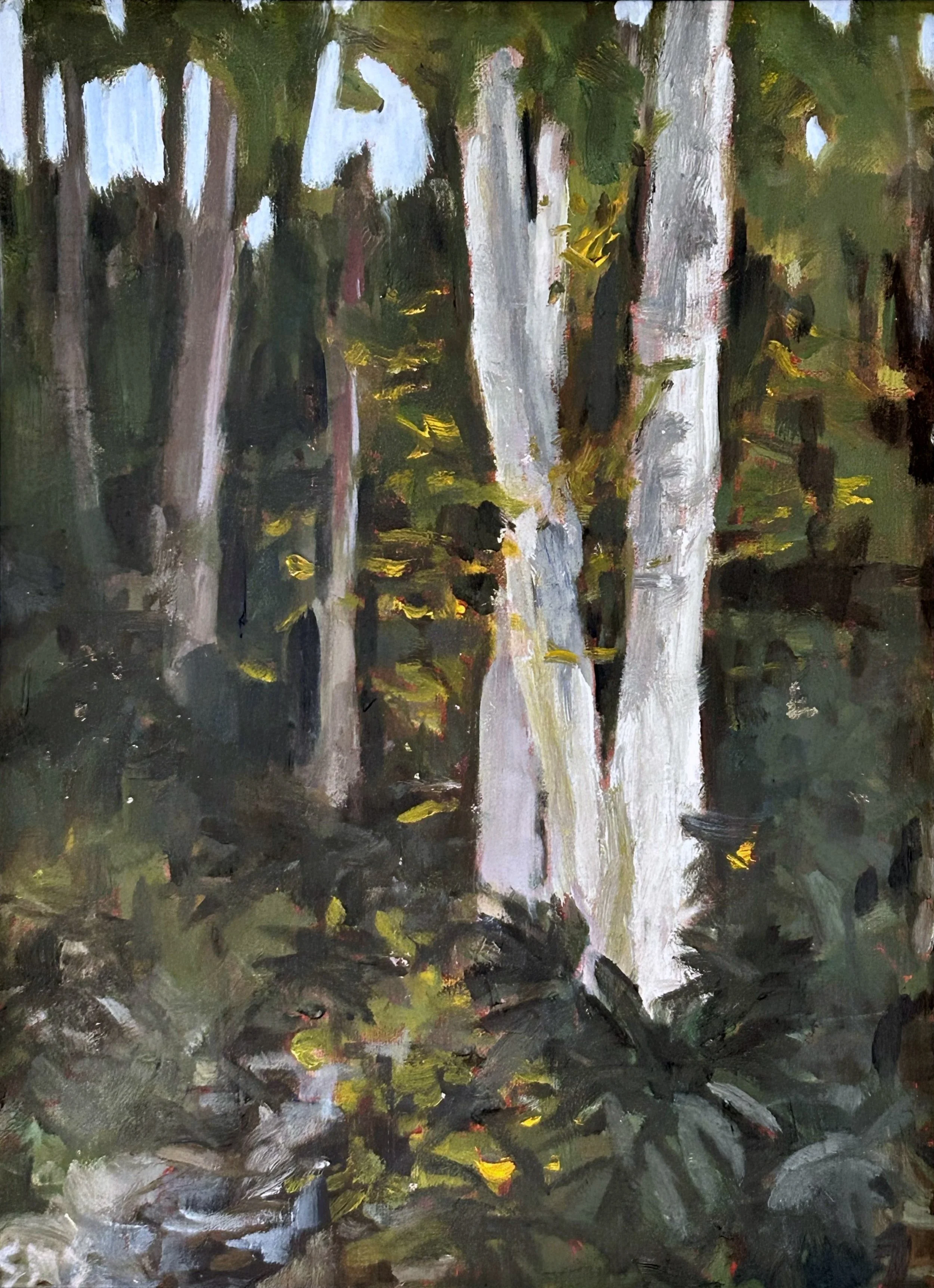Forest Bath II (2023)

oil on linen panel en plein air 
12 x 9 inches framed
