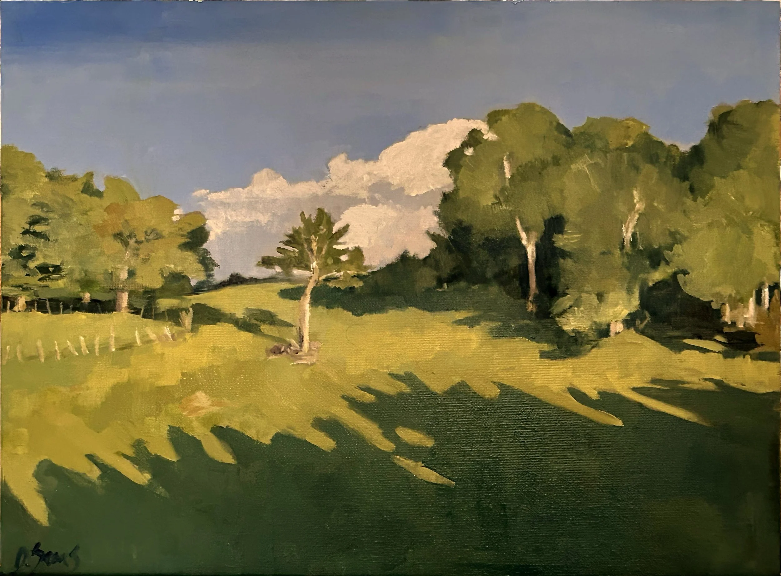Rich Mountain (2024)

oil on linen panel 
12 x 16 inches framed

