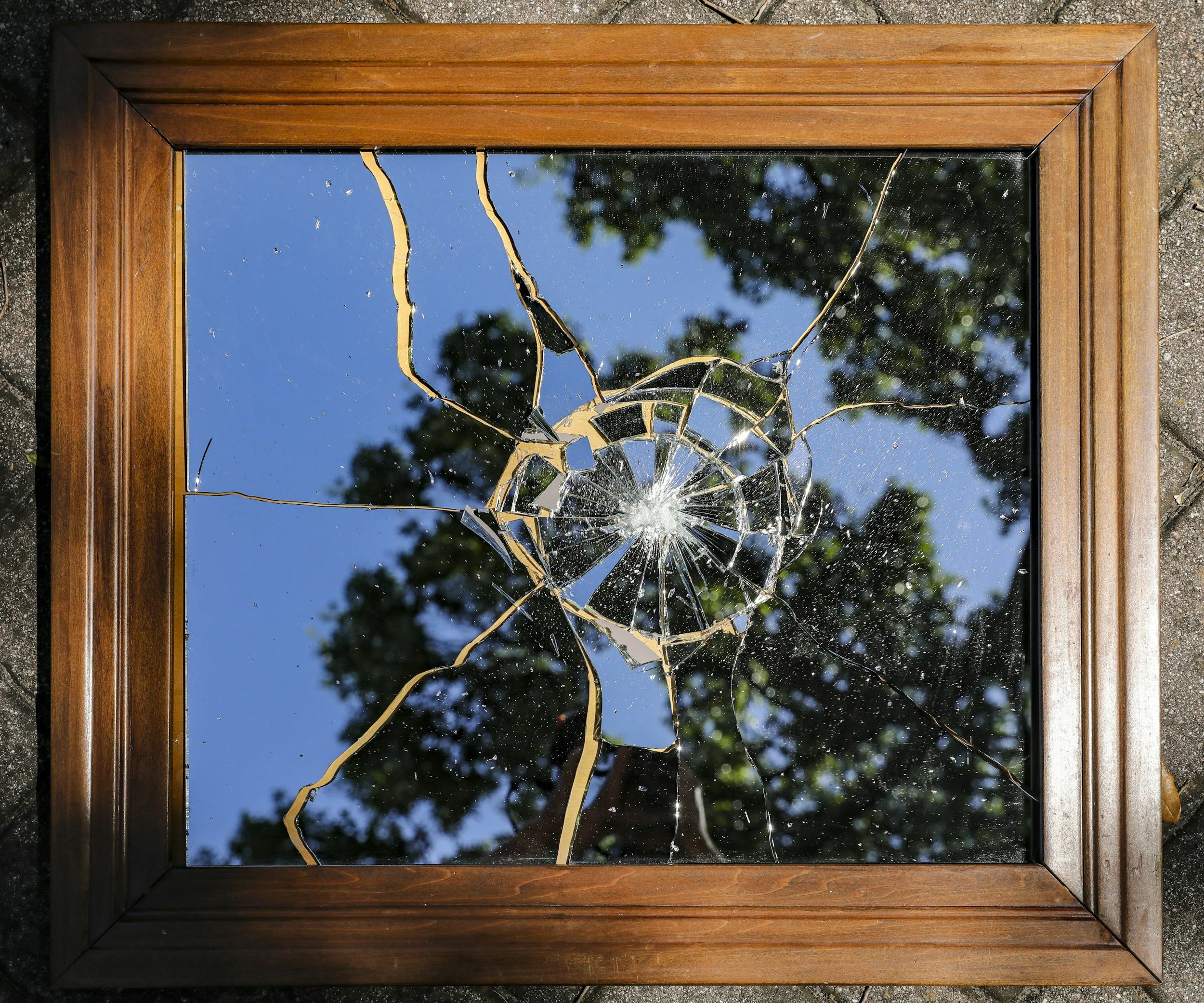 Broken glass window in a wooden frame with a crack radiating outward, reflecting trees and a blue sky.