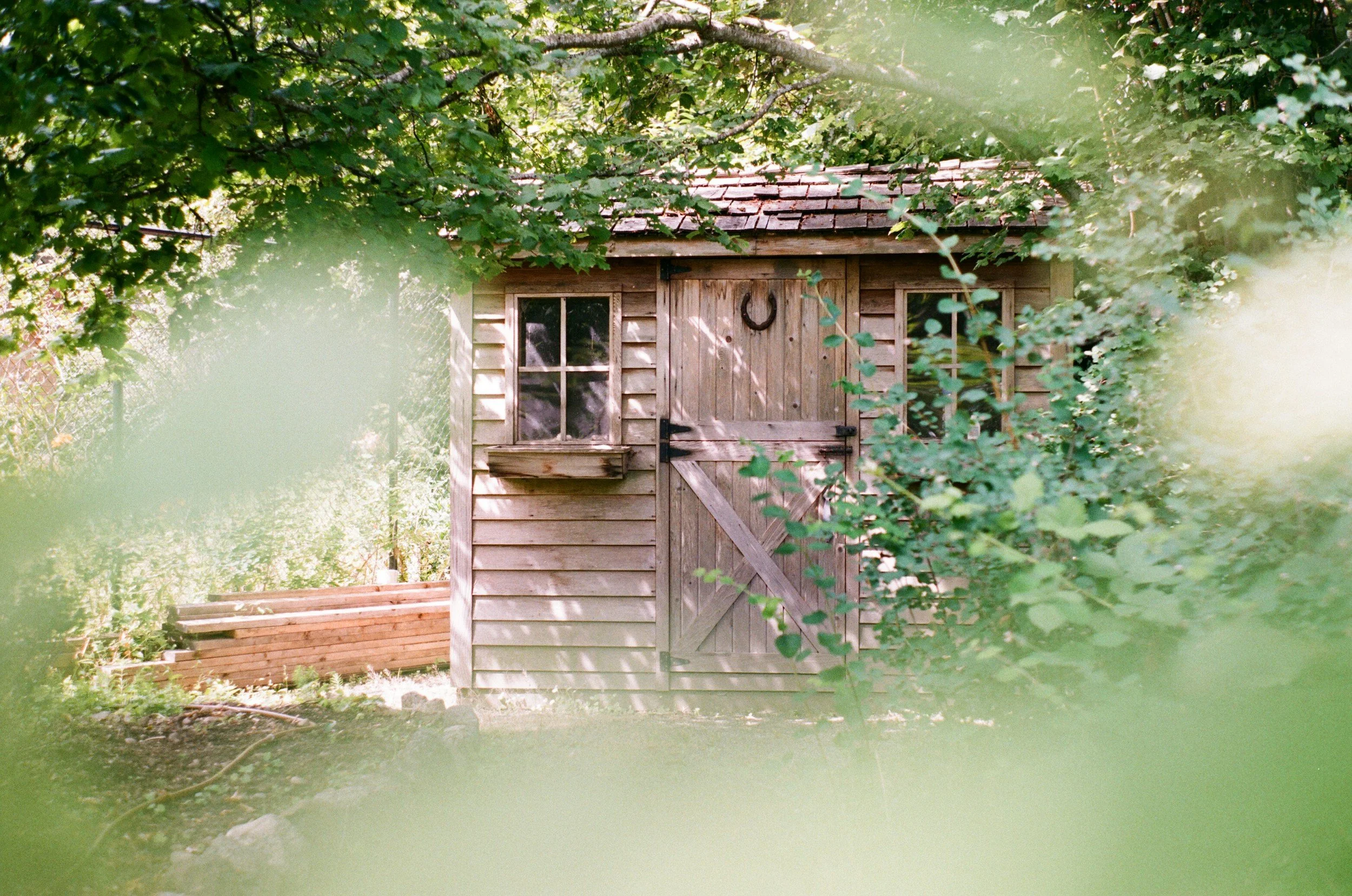 A small wooden shed with a horseshoe decoration on the door, surrounded by dense green foliage and trees.