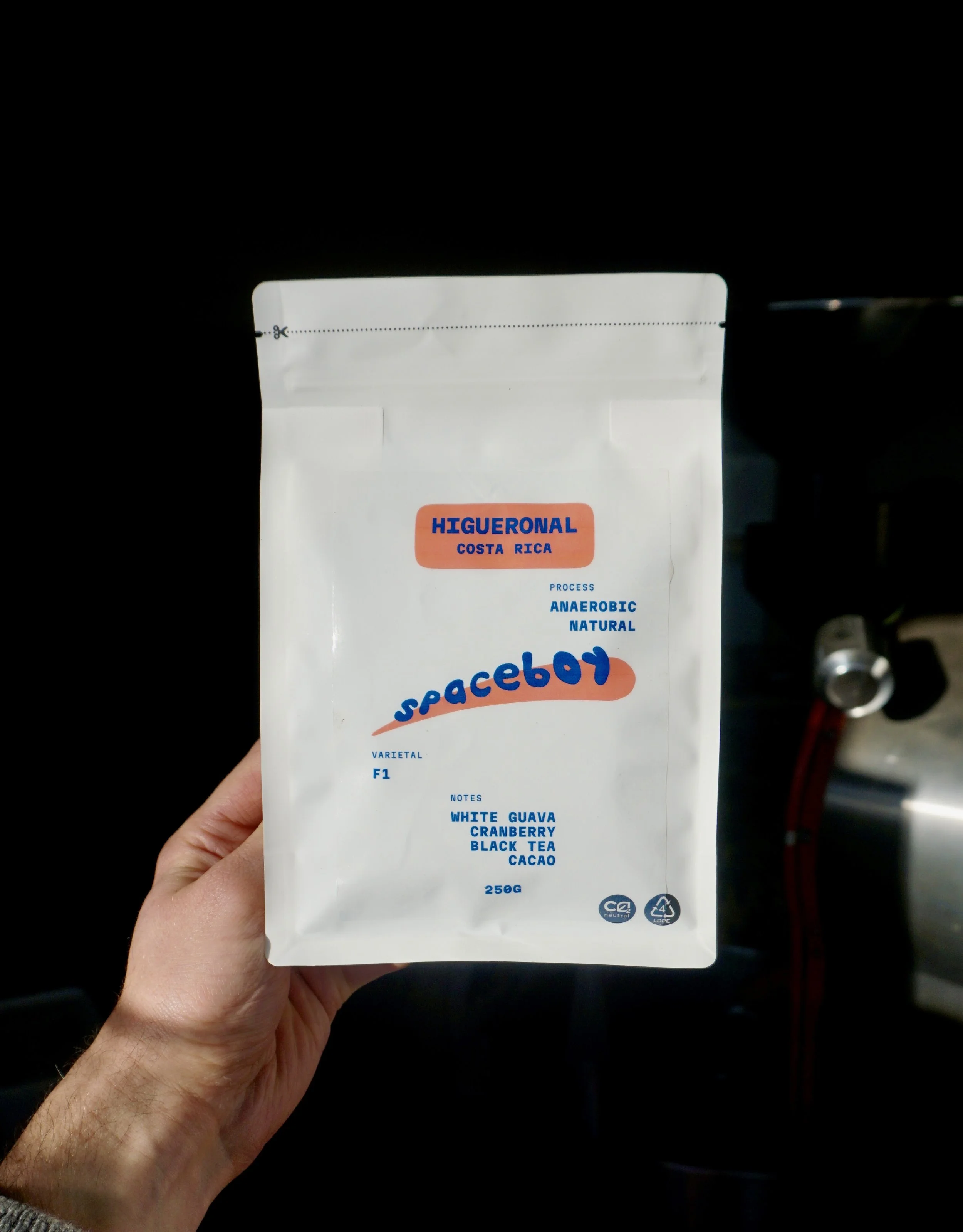 Higueronal_costa_rica_spaceboy_coffee.jpg
