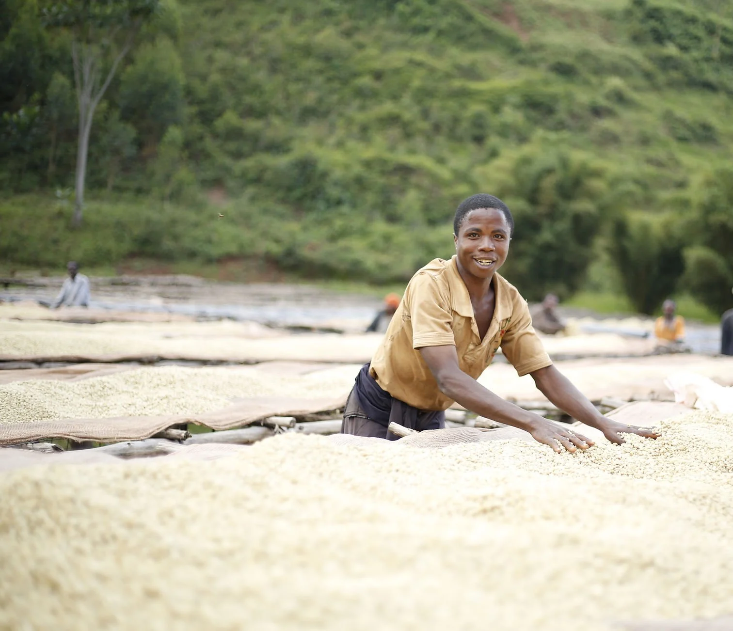 Burundi_Bavyeyi_sapceboy_coffee.jpeg