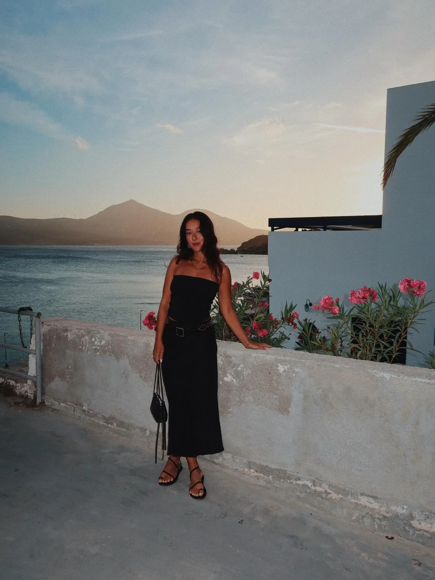 sunsets and flowers and kittens and natural wine 🌺