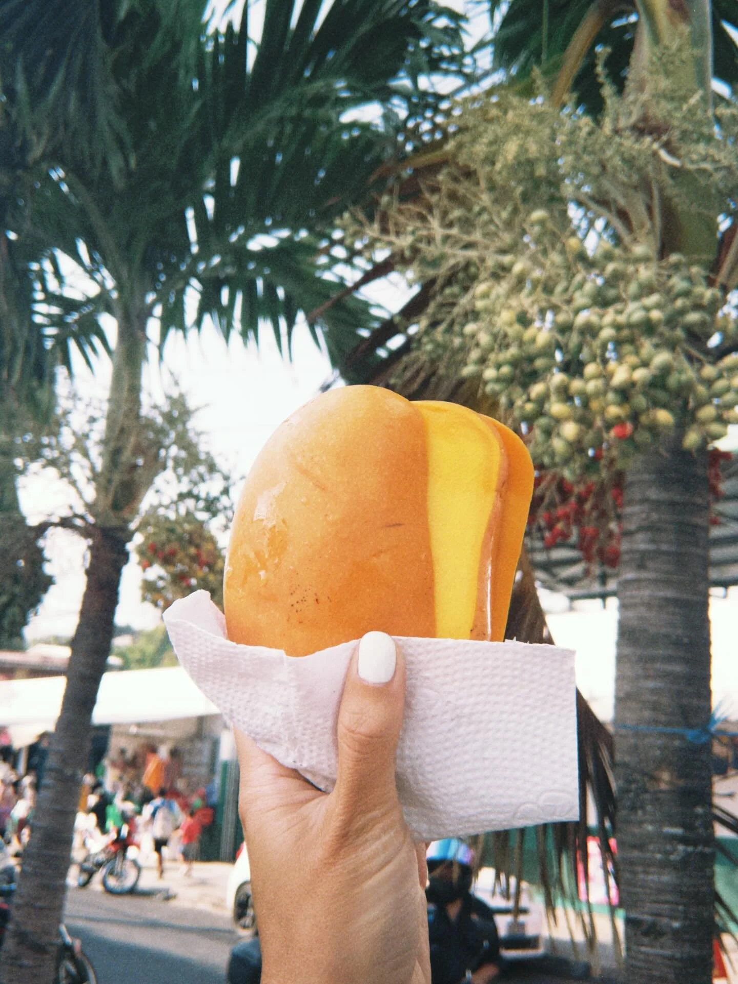 🥭🦋🐚🏄🏻&zwj;♀️☕️👯&zwj;♀️🌴☀️🍍