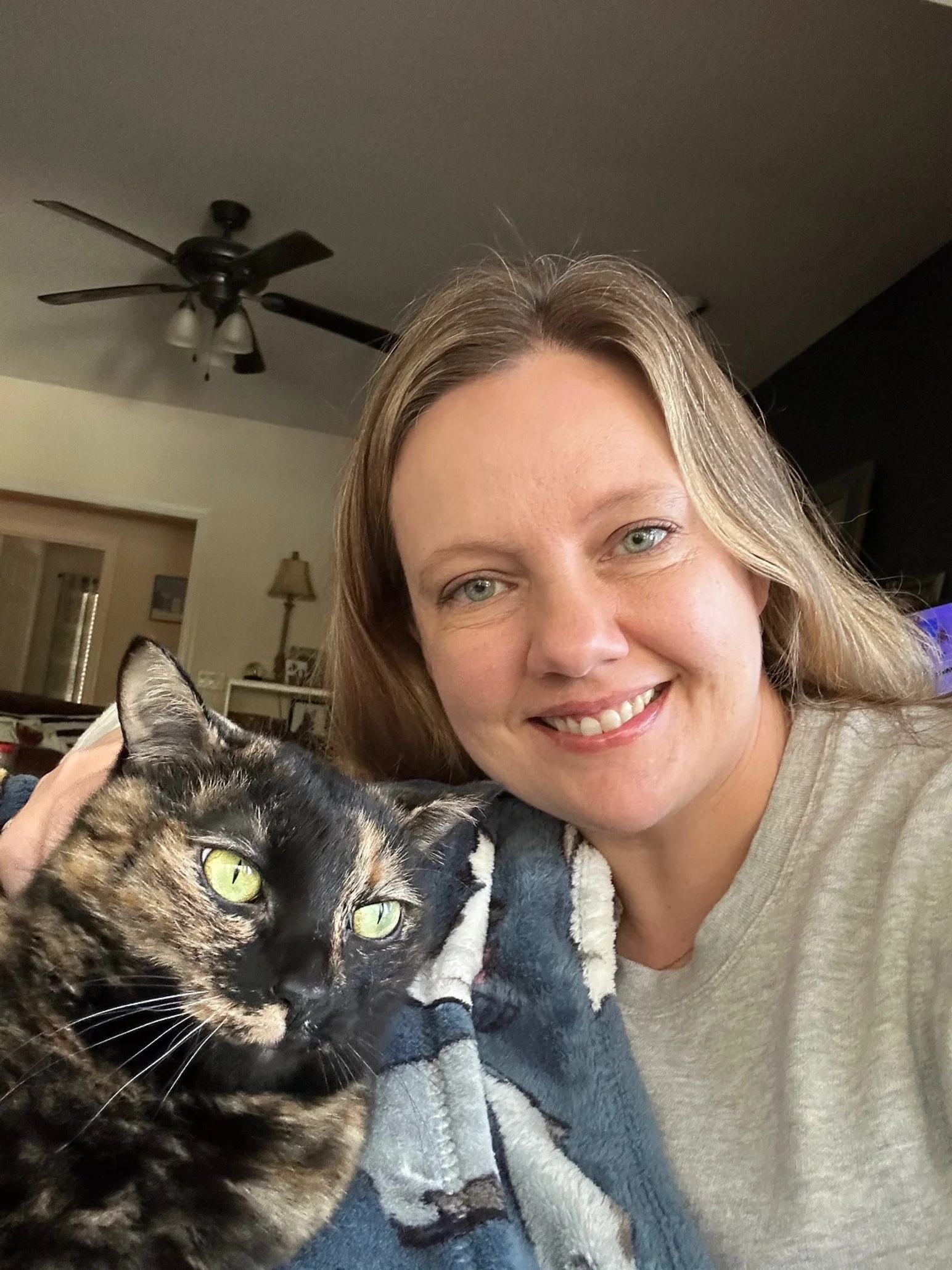 Cat-Friendly Vet in Savannah