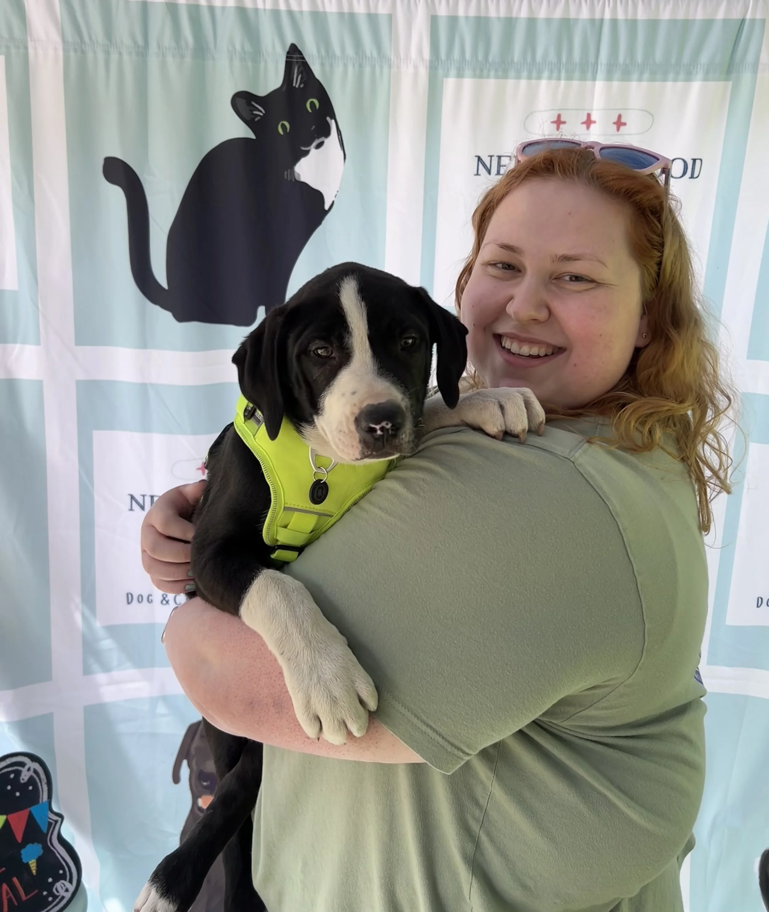 Sophie at Doggie Carnival Savannah from Neighborhood vet.jpeg