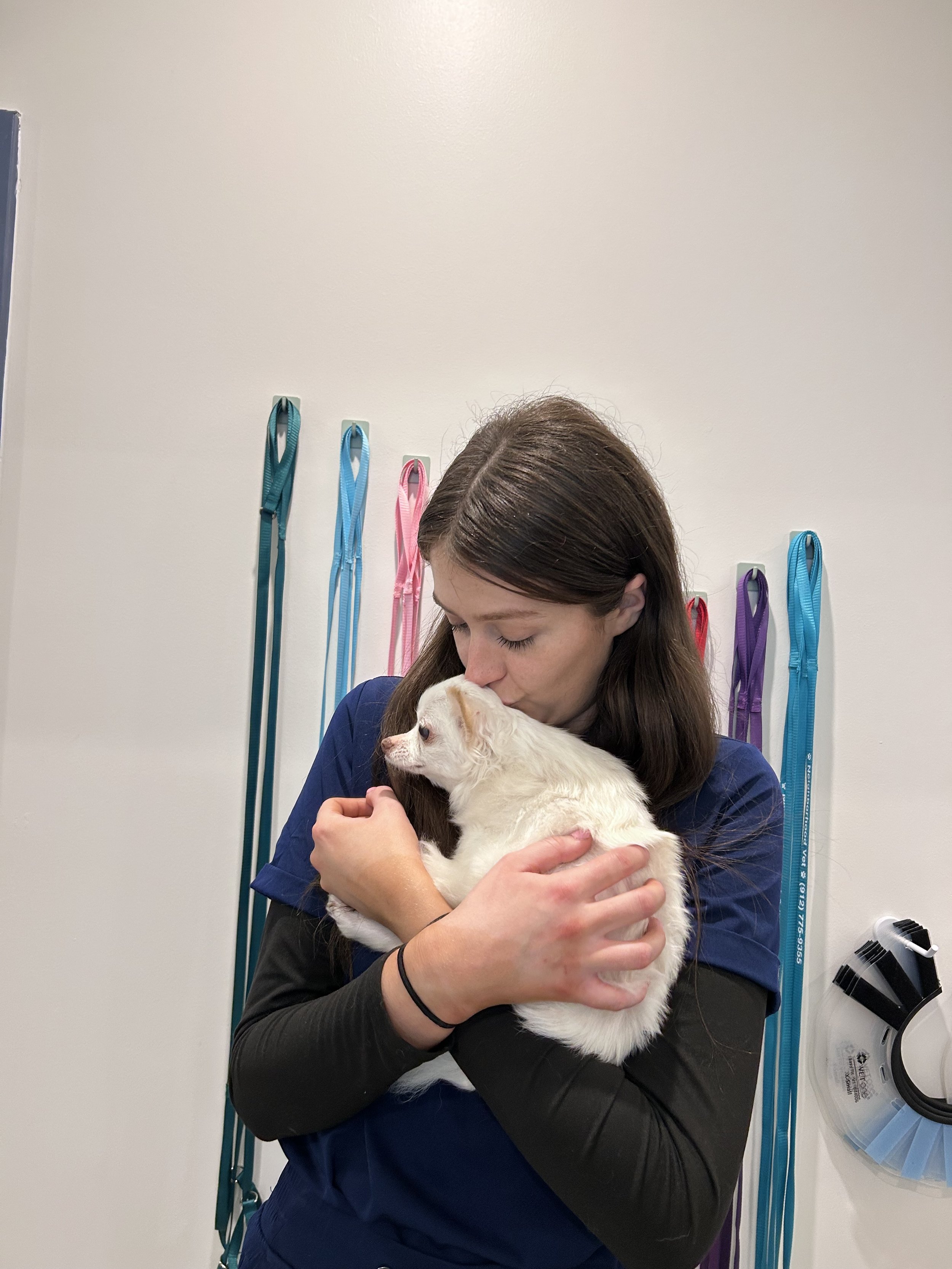 Vet or pet owner cuddling a small white cat in a clinic or hospital setting with colorful leashes hanging on the wall.
