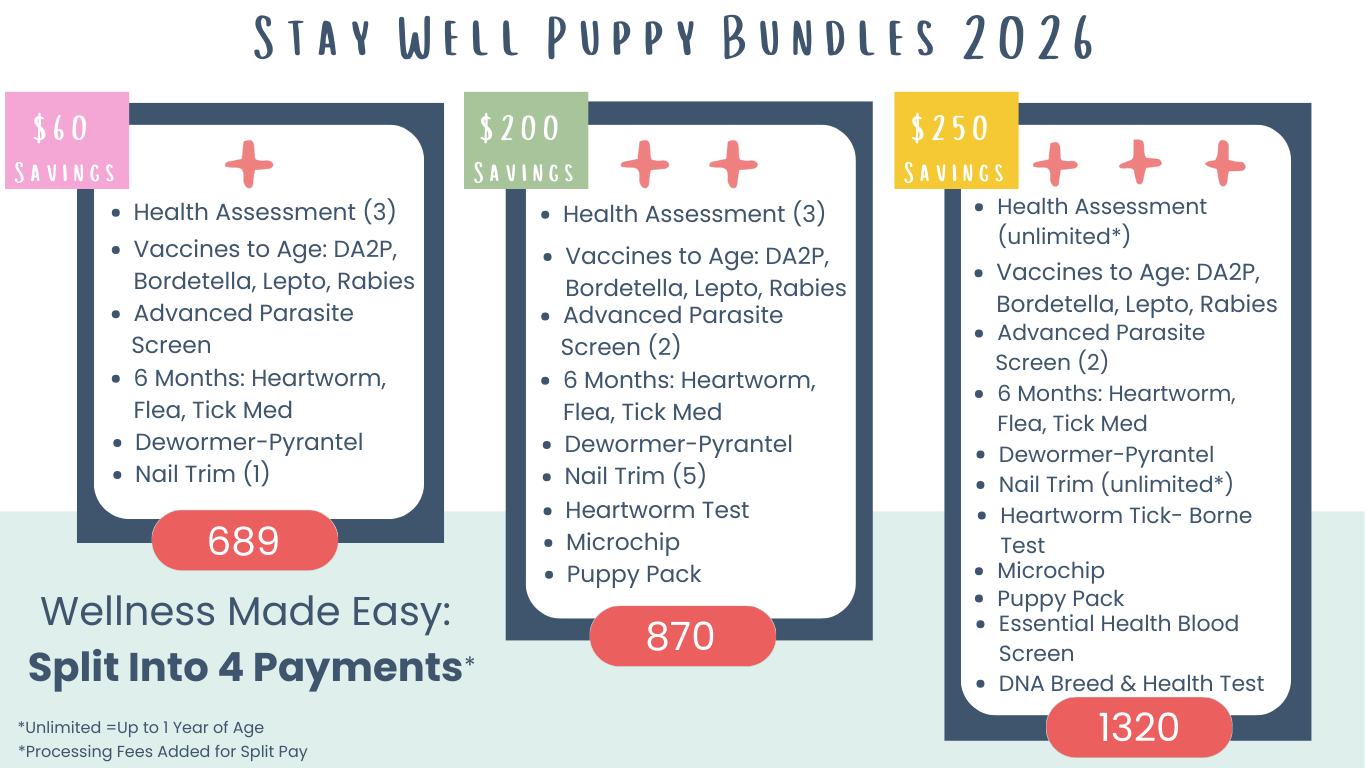 list of puppy vaccines and tests available at Neighborhood Vet