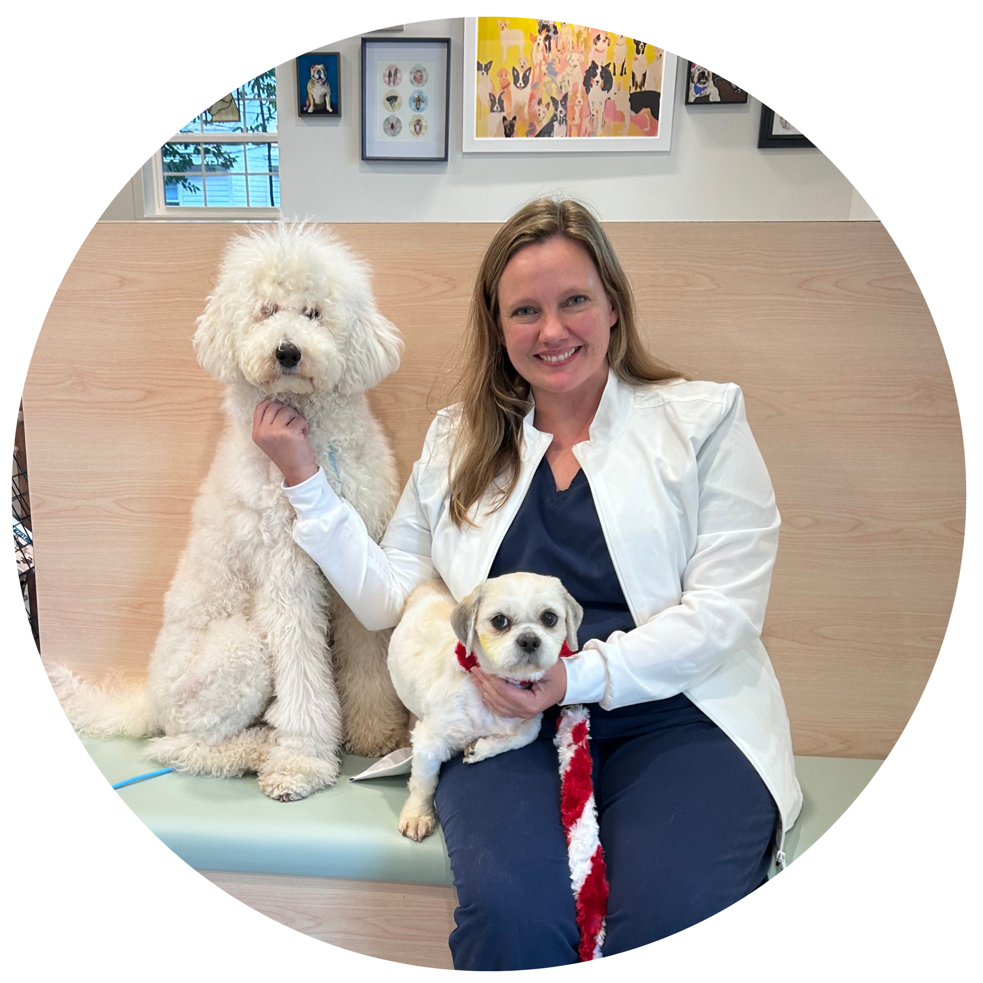 A woman in a white coat sitting on a bench, holding a small dog, with a large fluffy white dog sitting beside her. The background features framed dog-themed artwork on the wall.