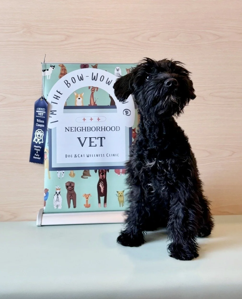 Puppy Vaccines in Savannah.jpg