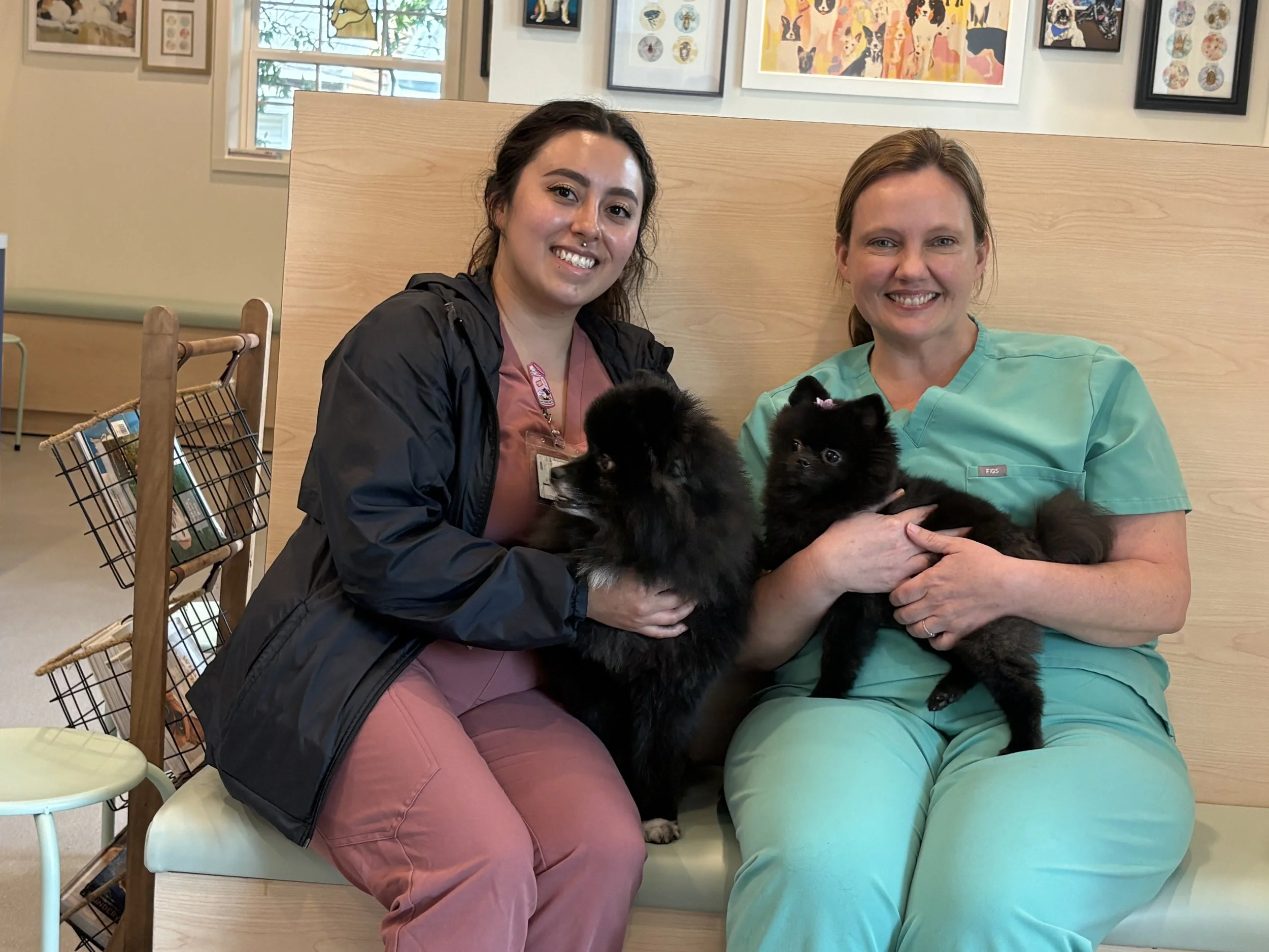 Two women sitting together, holding and playing with a black puppy in a room with colorful wall art and a window behind them, smiling at the camera.