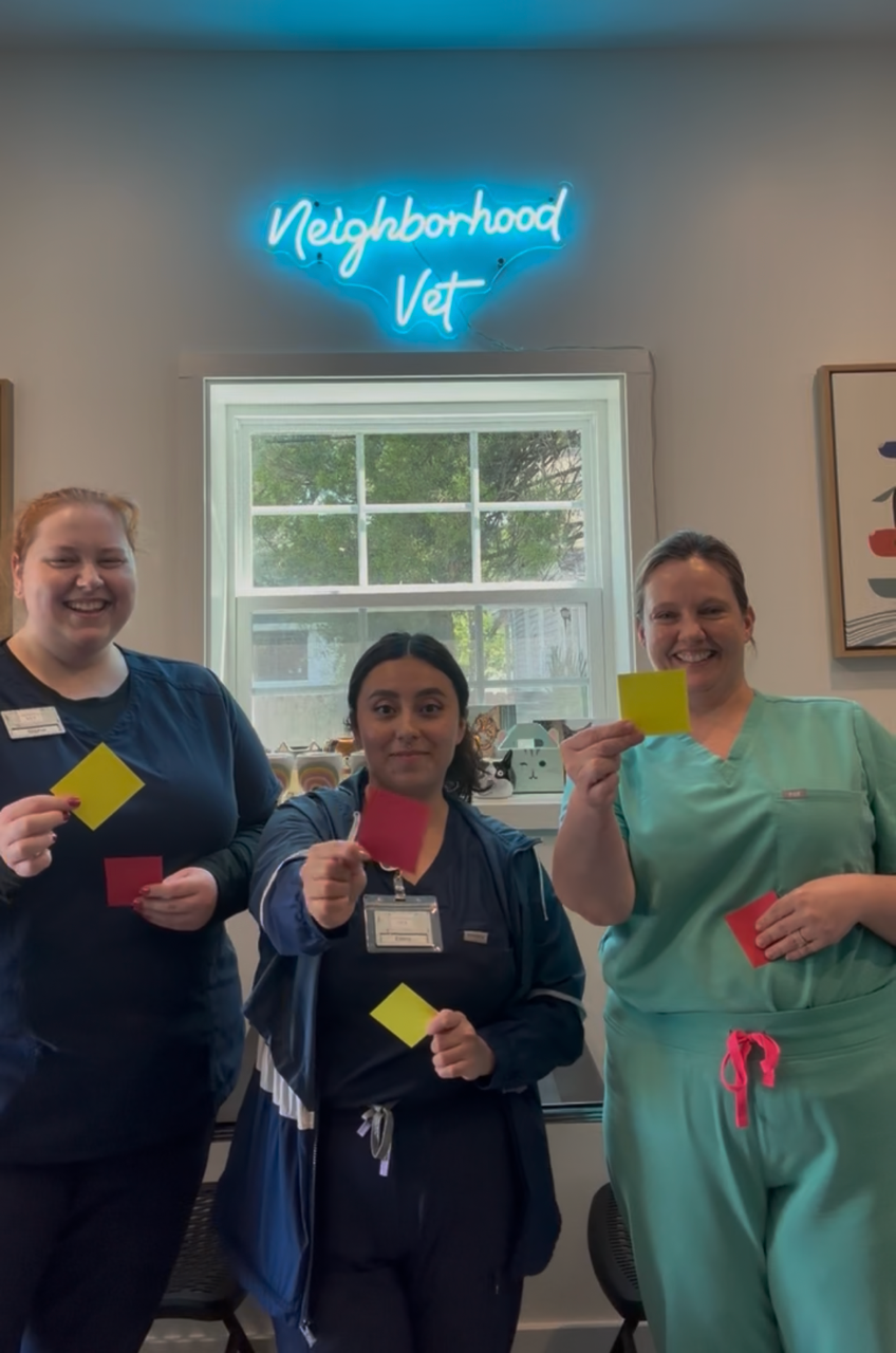 Three women in medical scrubs holding small color cards, standing in front of a window and a neon sign that reads 'Neighborhood Vet'