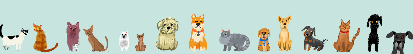 Unique artist drawn dogs and cats on mint green backgorund
