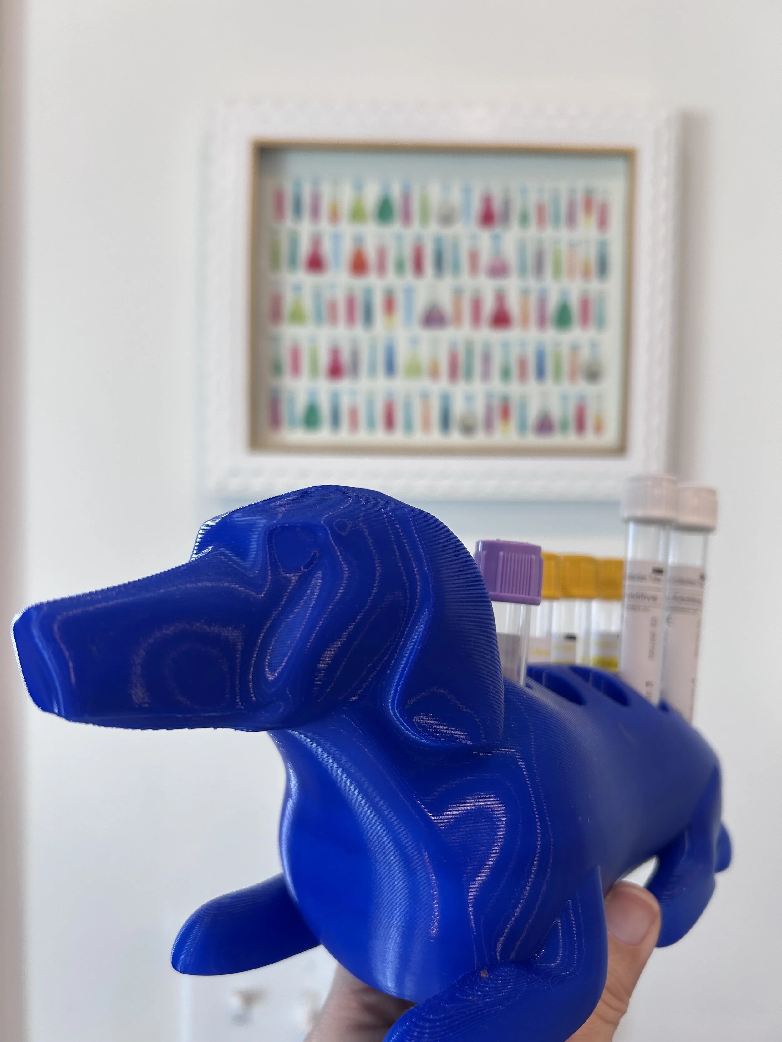 Blue dog blood tube holder with vet laboratory in background