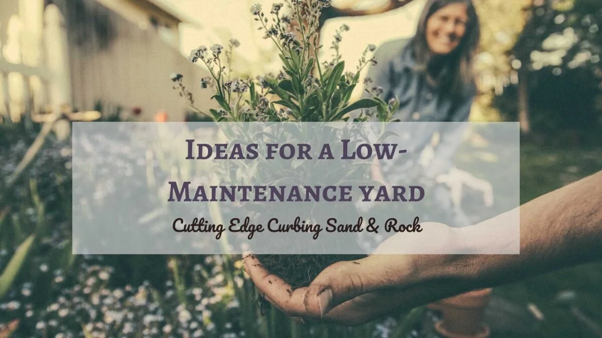IDEAS FOR A LOW-MAINTENANCE YARD