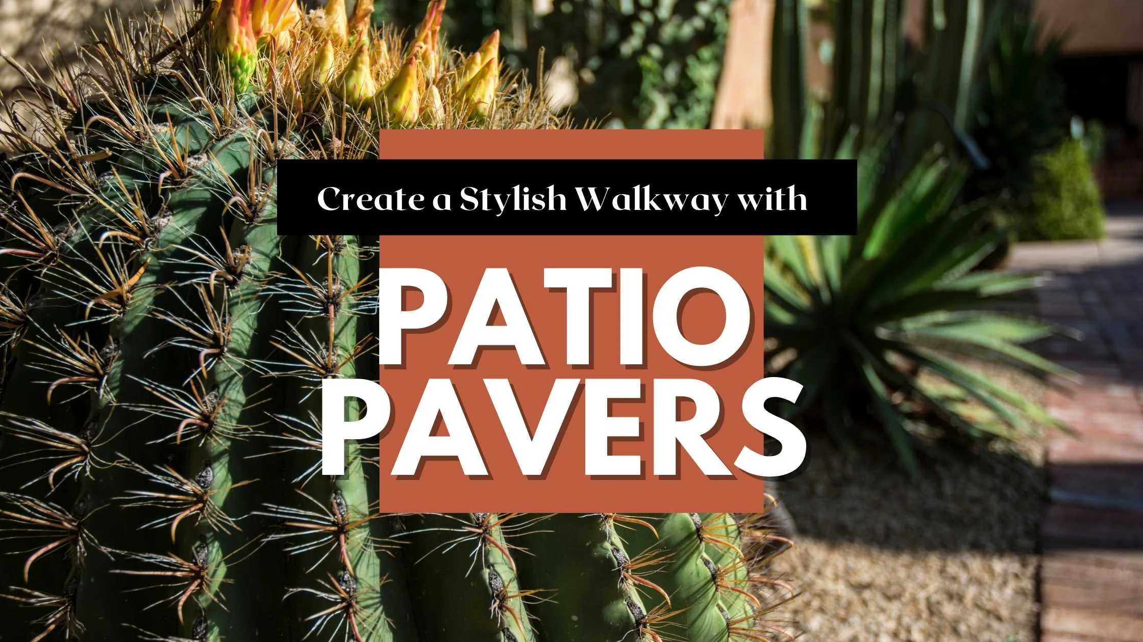 Create a Stylish Walkway with Patio Pavers