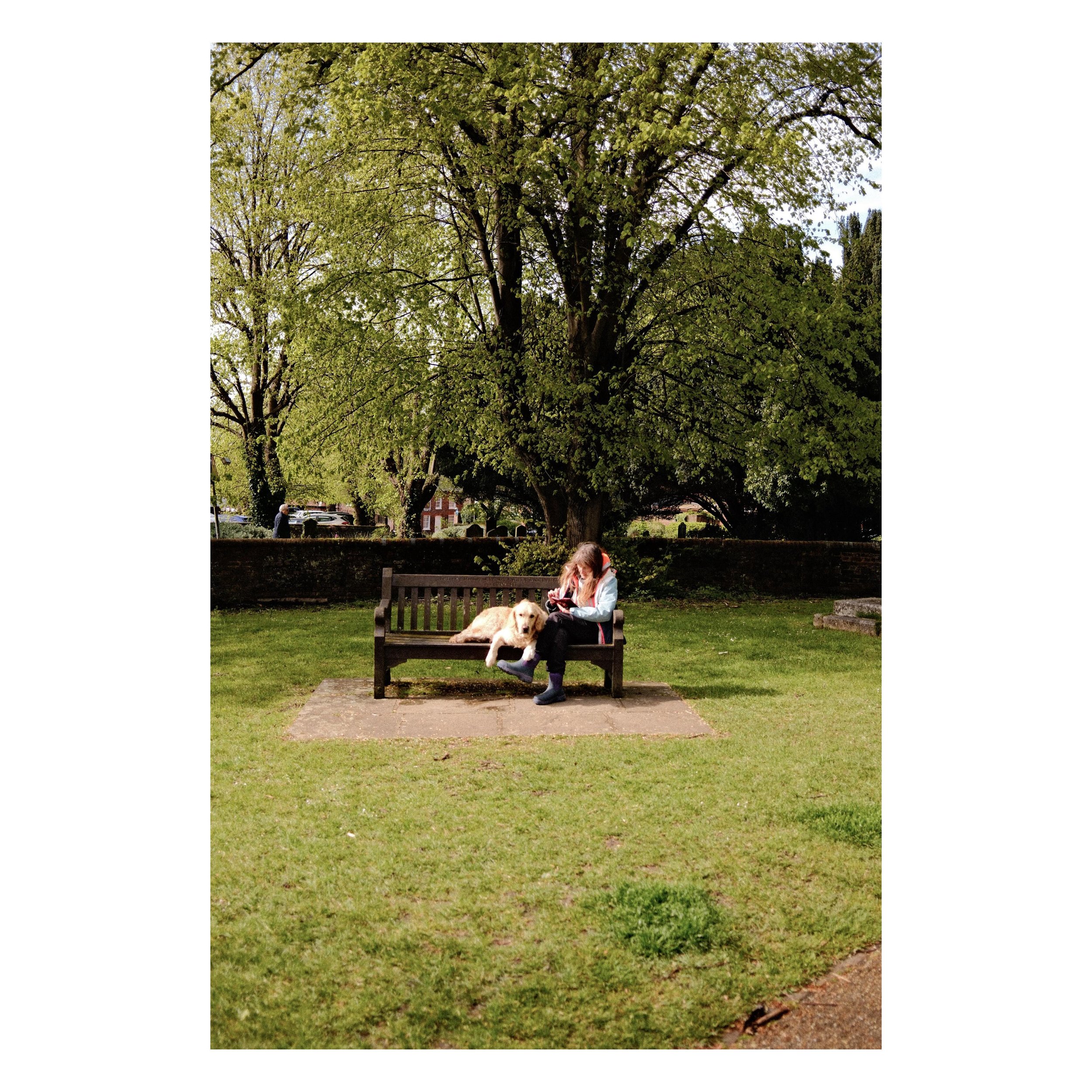 St Albans Cathedral - reading on a bench 

#fujix100vi #architecturephotography #stalbans #sundaywalks #fujifilm_street #streetphotography #parkdog