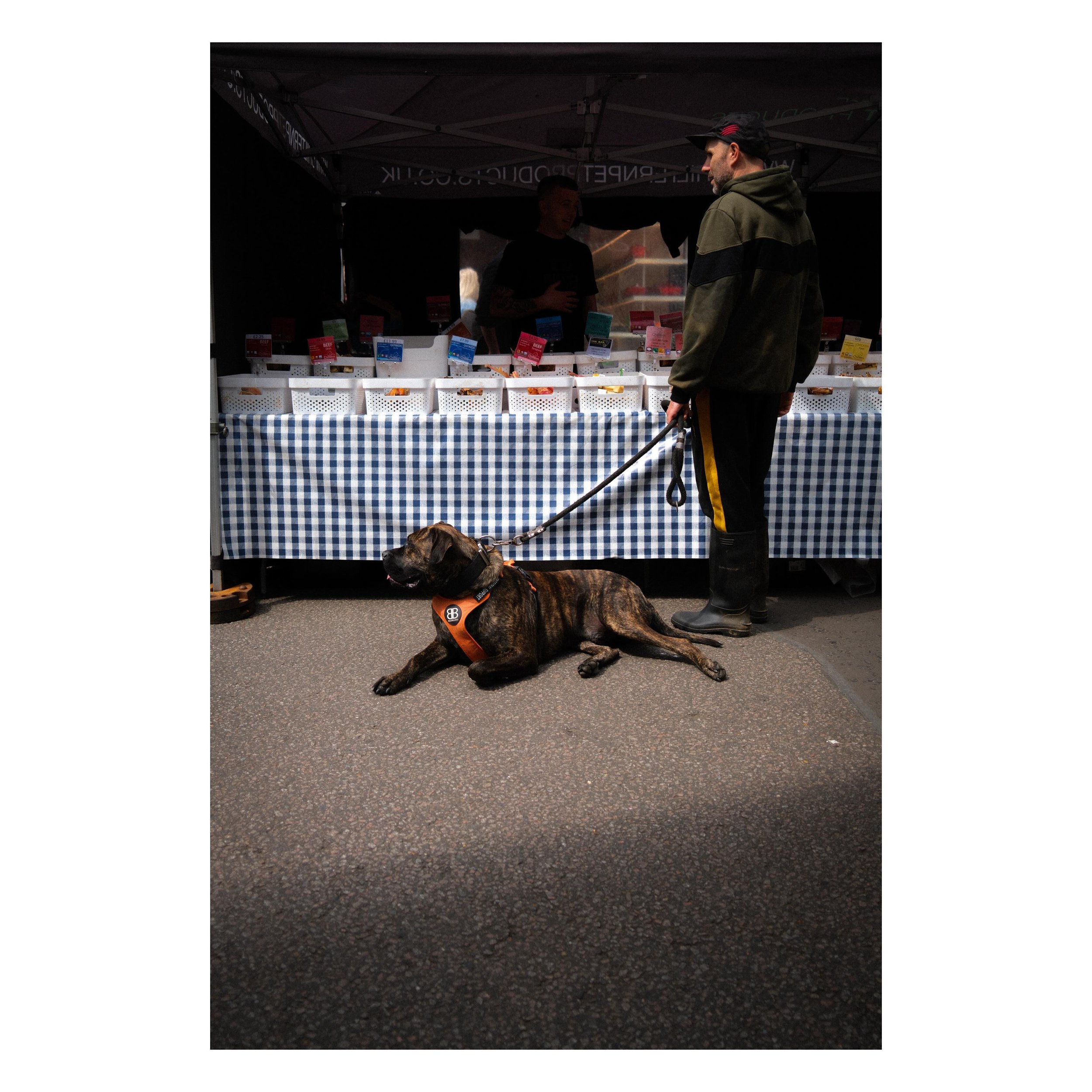 Market day

#fujifilmx100vi #dog #marketday #stalbans