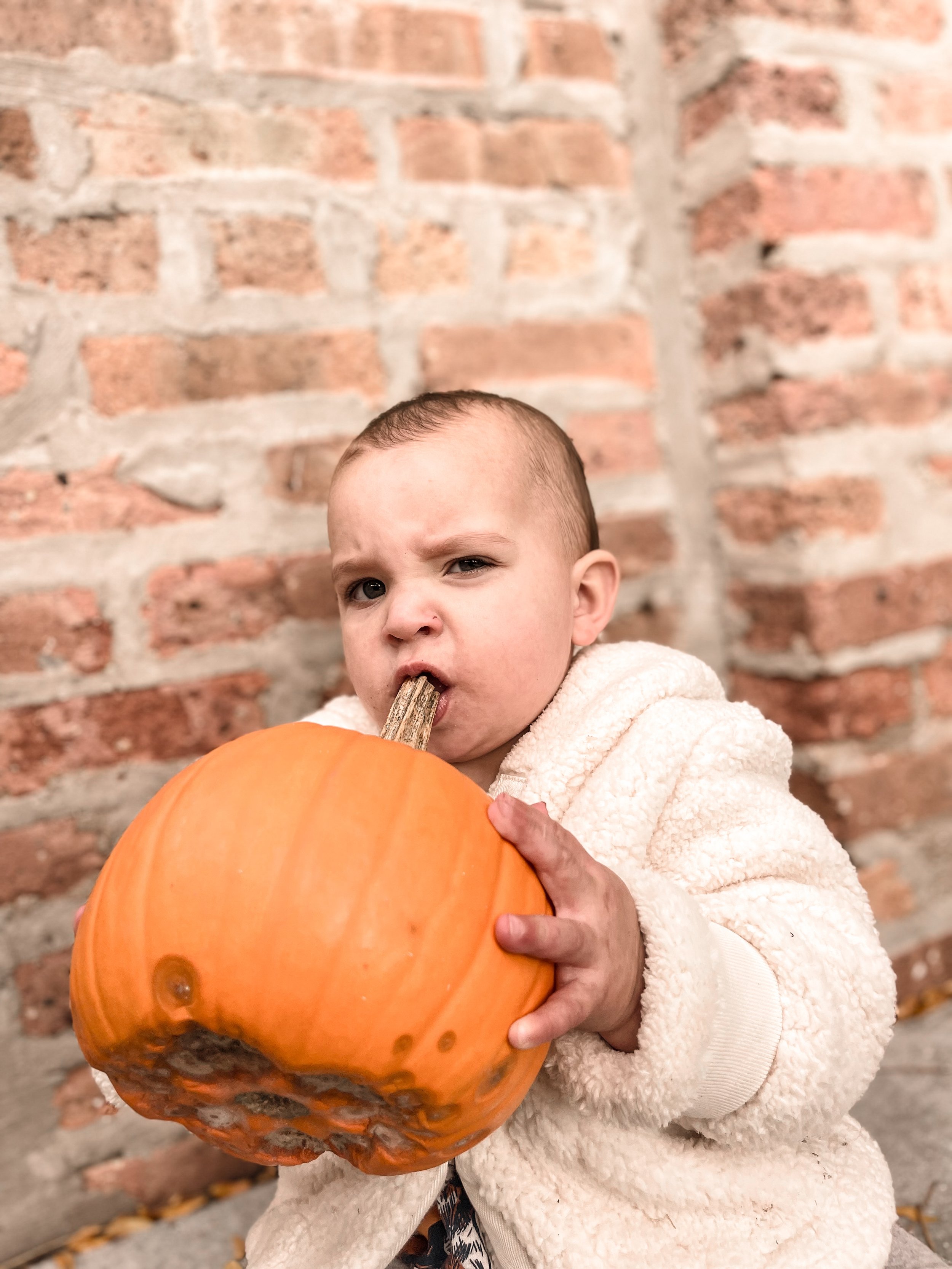 IMG_6248 2.JPG