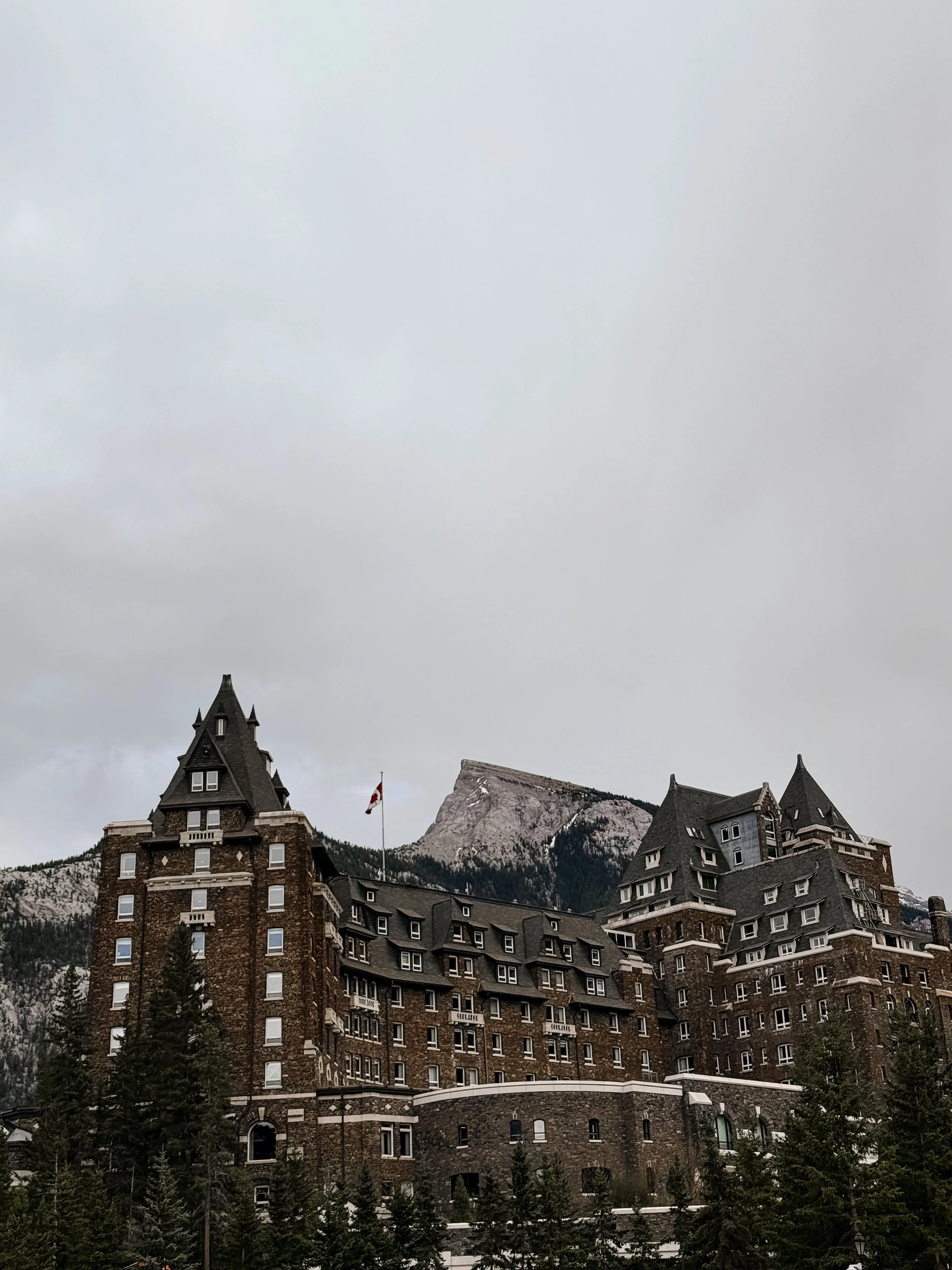 IMG_2306.jpeg