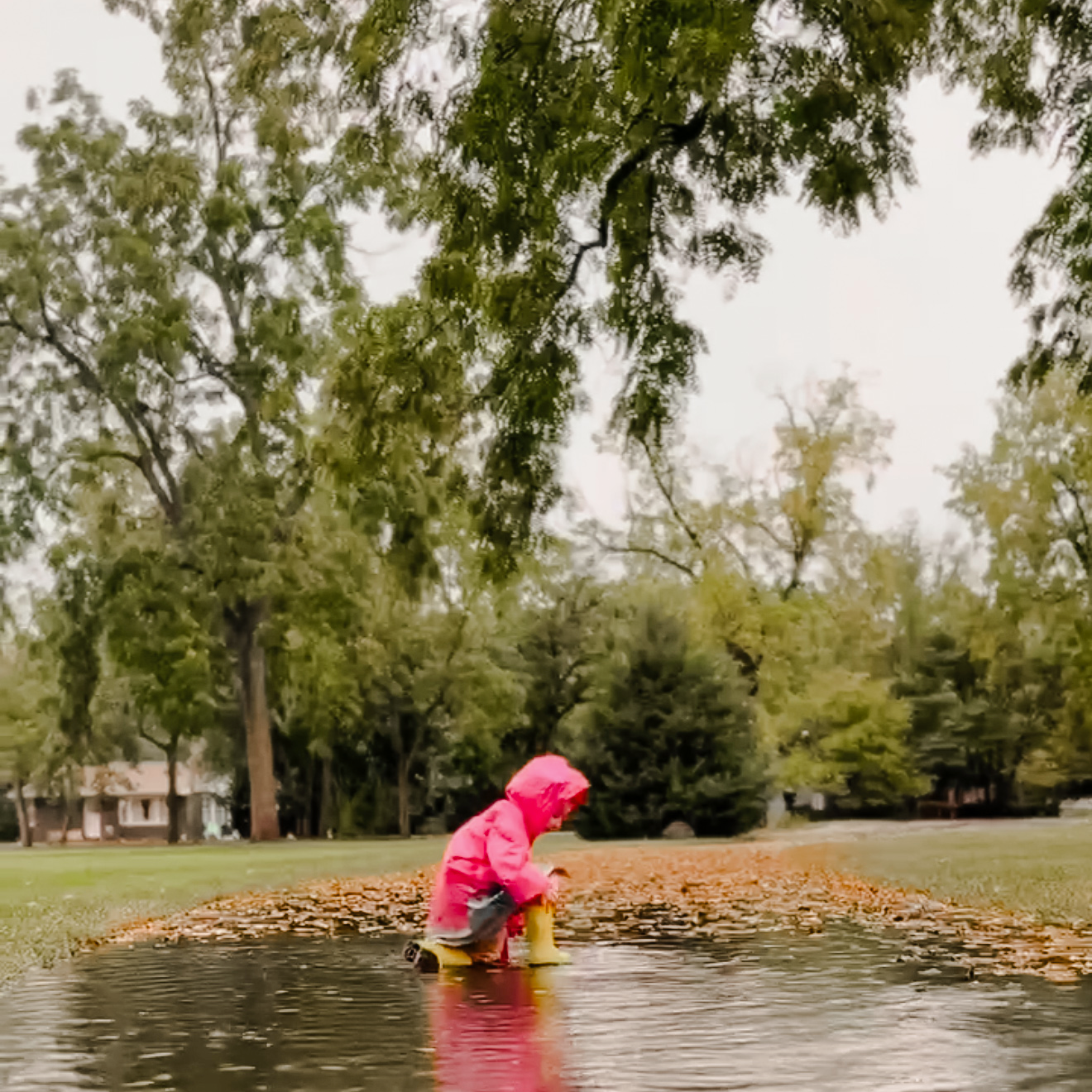 Is This a Muddy Puddle or a Dirty Window?