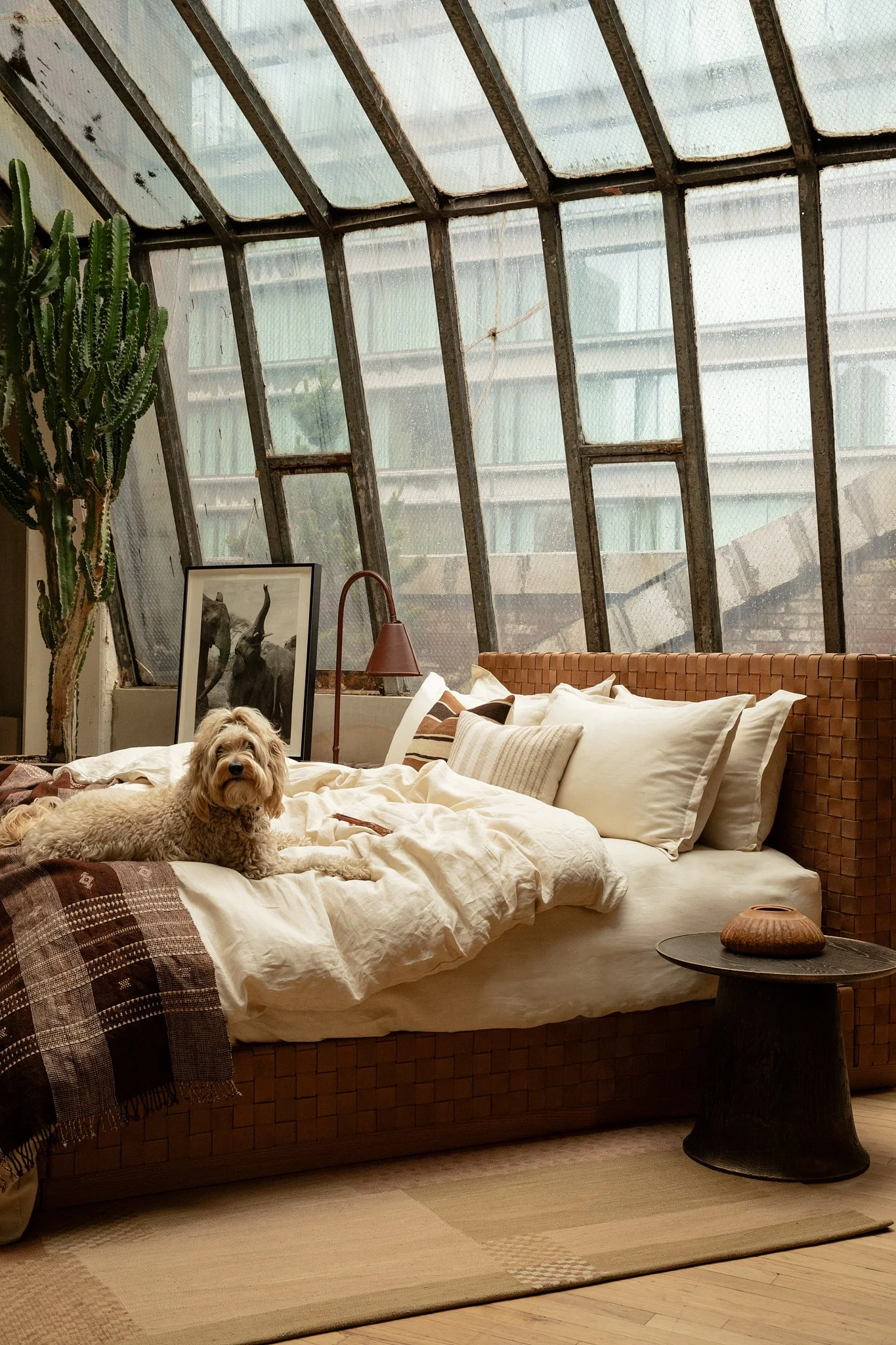 TREVOR PARKER - APS - MAY FURNITURE -23137.jpg