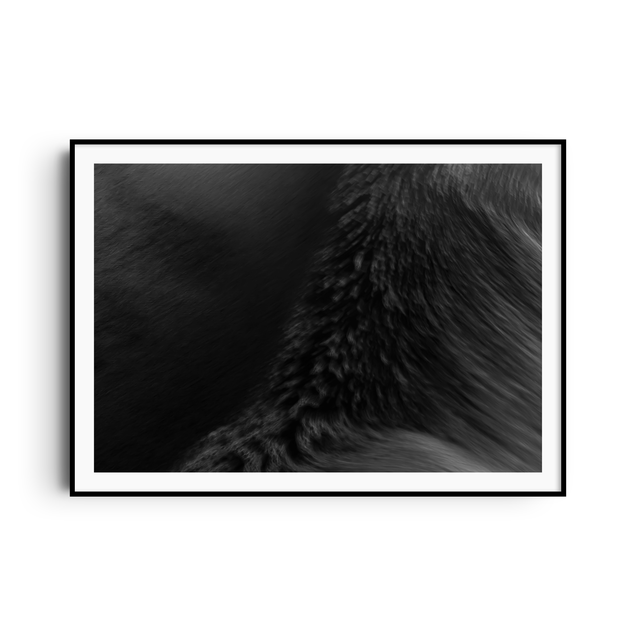2R5A0963-Edit - COVER 2.png