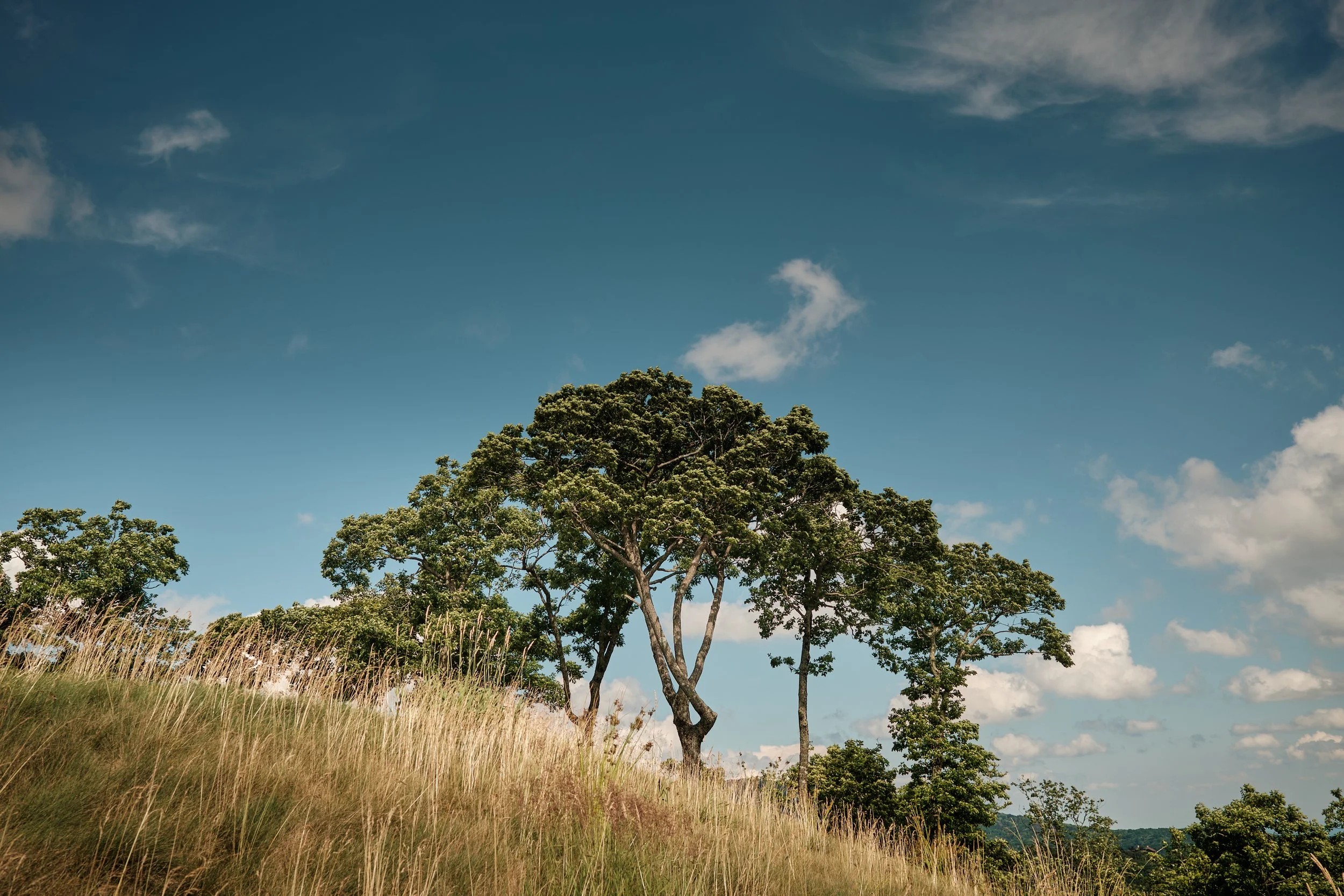 DSCF1877.jpg