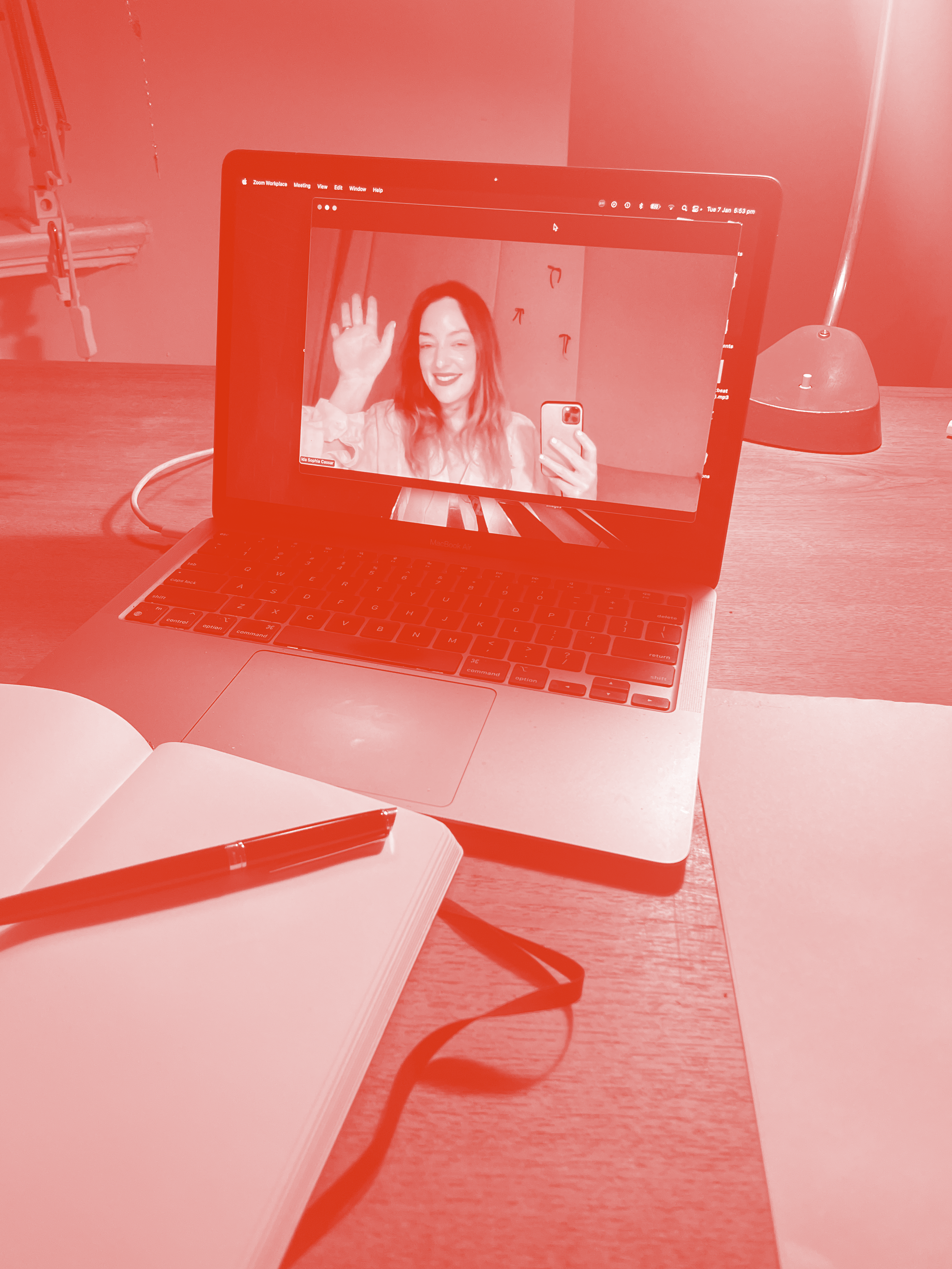 Mentoring with Ida
