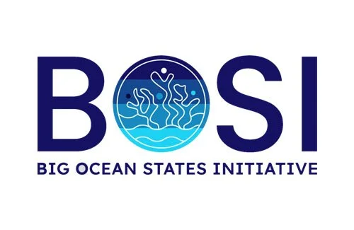 bosi-mou.jpg