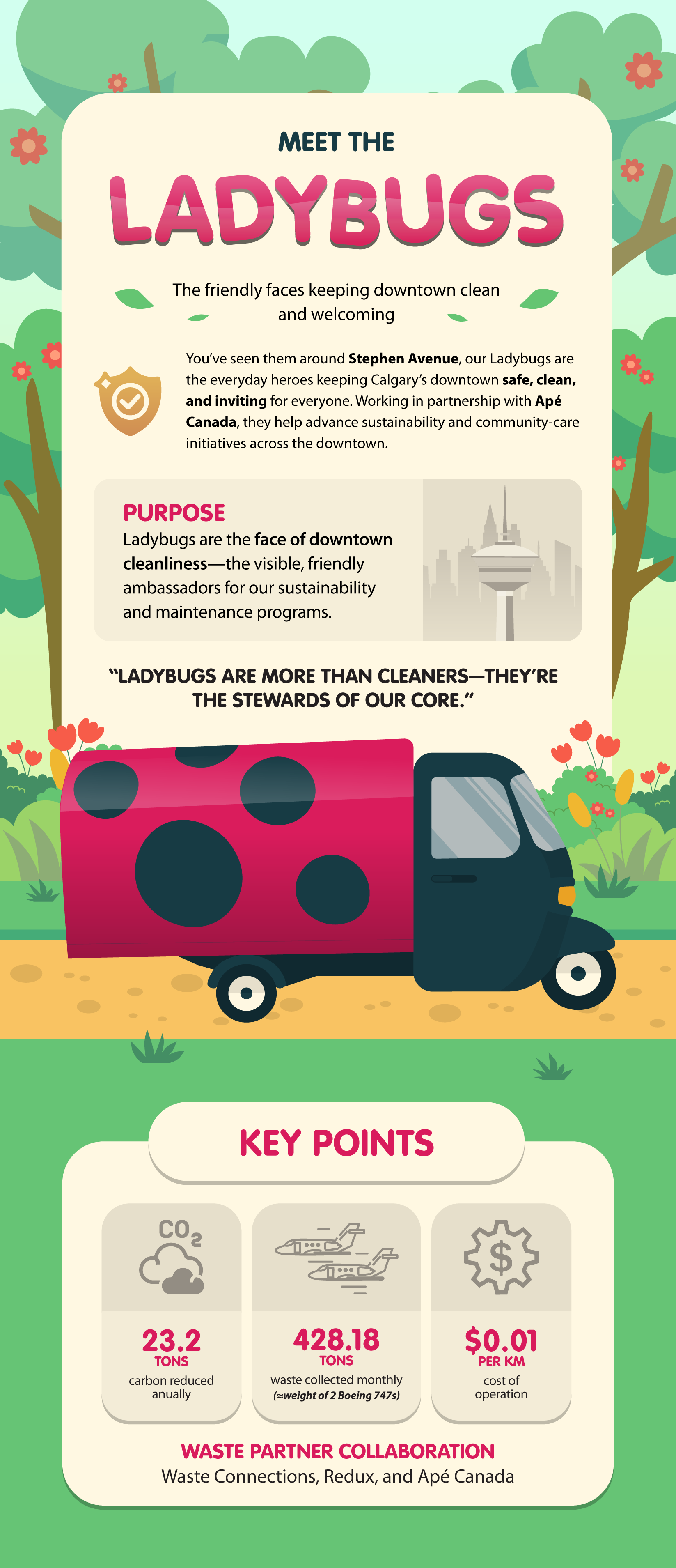Ladybug Infographic.png