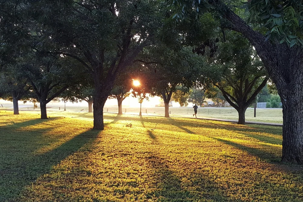 Explore the Parks — Denton Parks Foundation