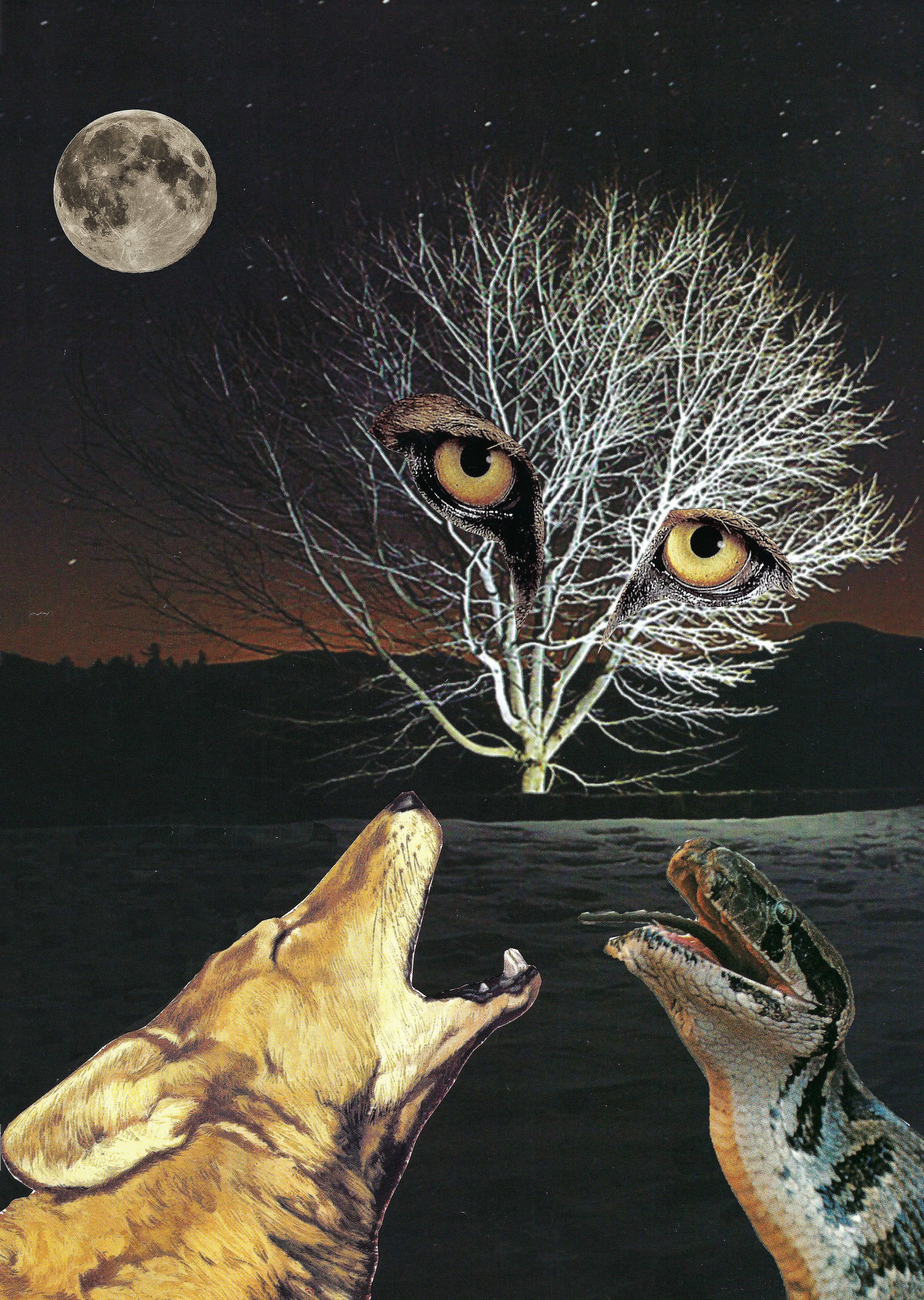 Sp00ky.jpg