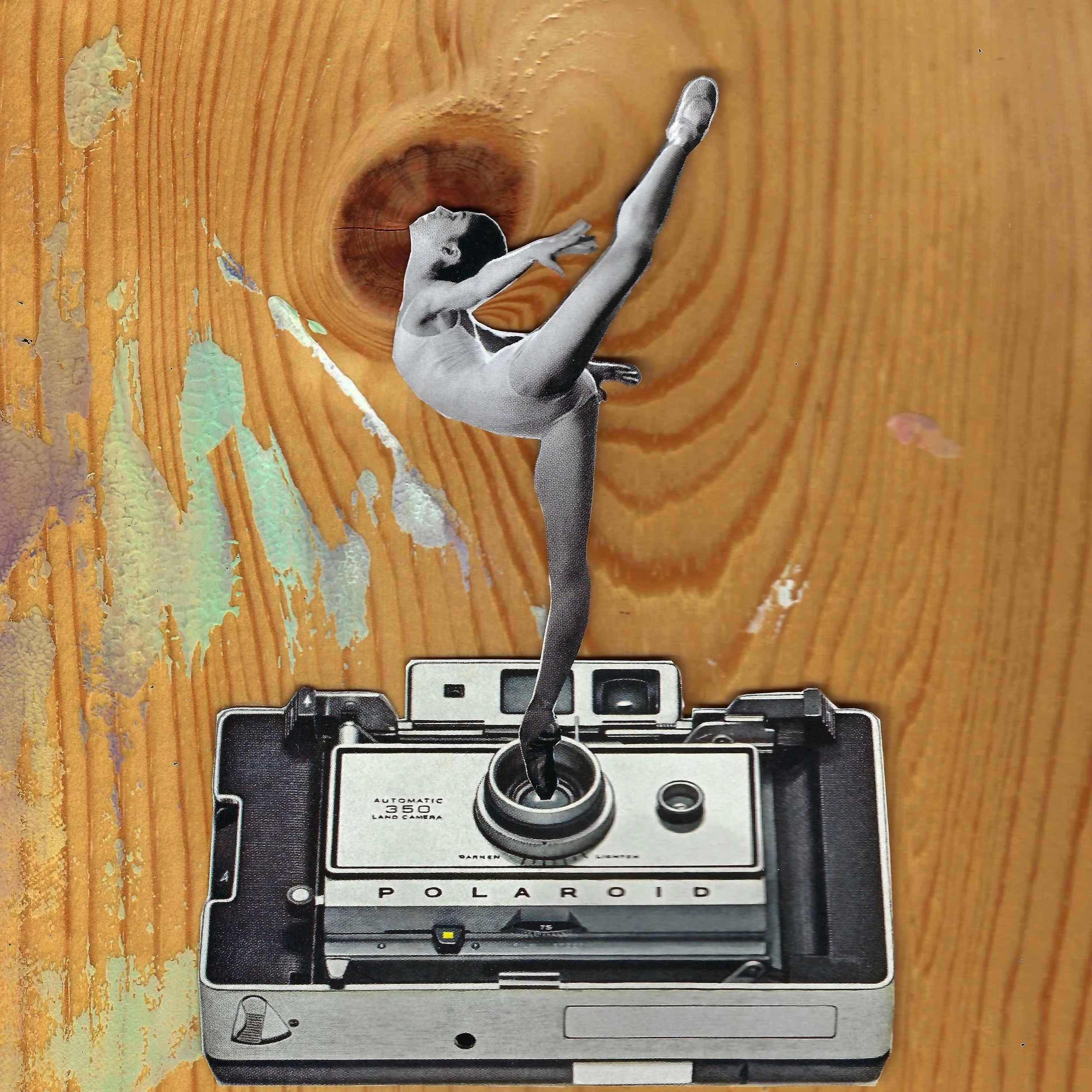 TinyDancer.jpg