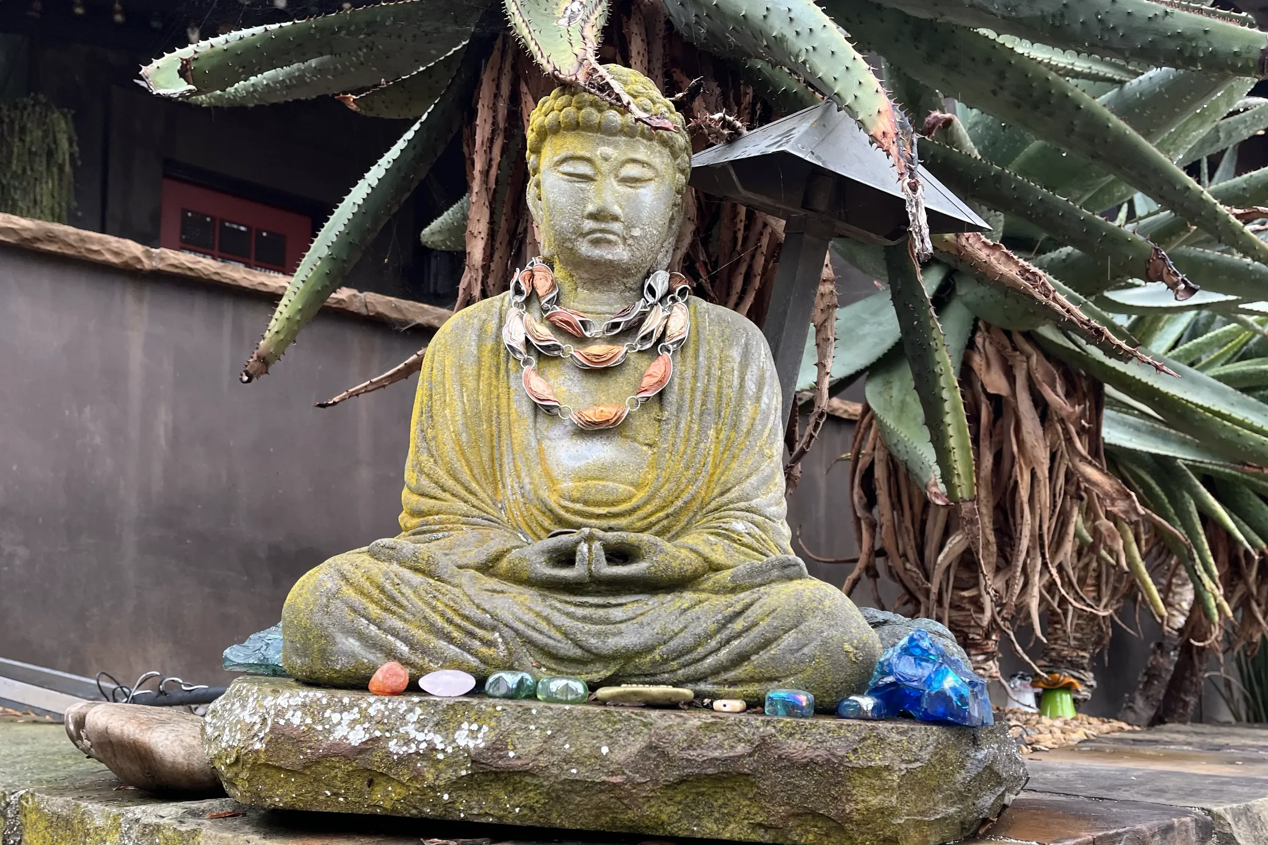 The Corner Buddha 🏠
