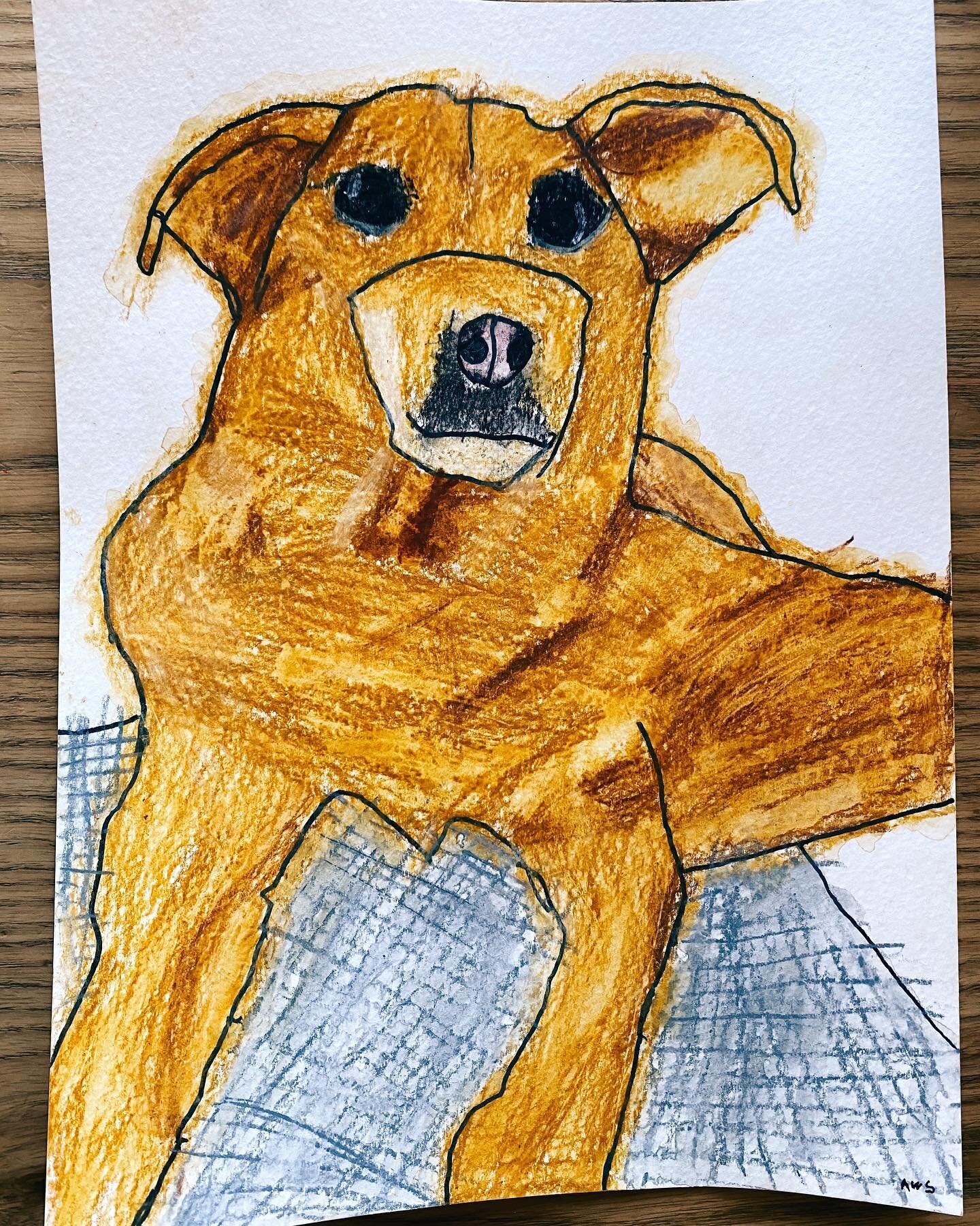 When we announced we were adopting, we also shared an online marketplace where you could purchase items - with all profits going towards bringing our Tippi home. While we sit in USCIS purgatory, we have refocused our energy on making sure we are caug
