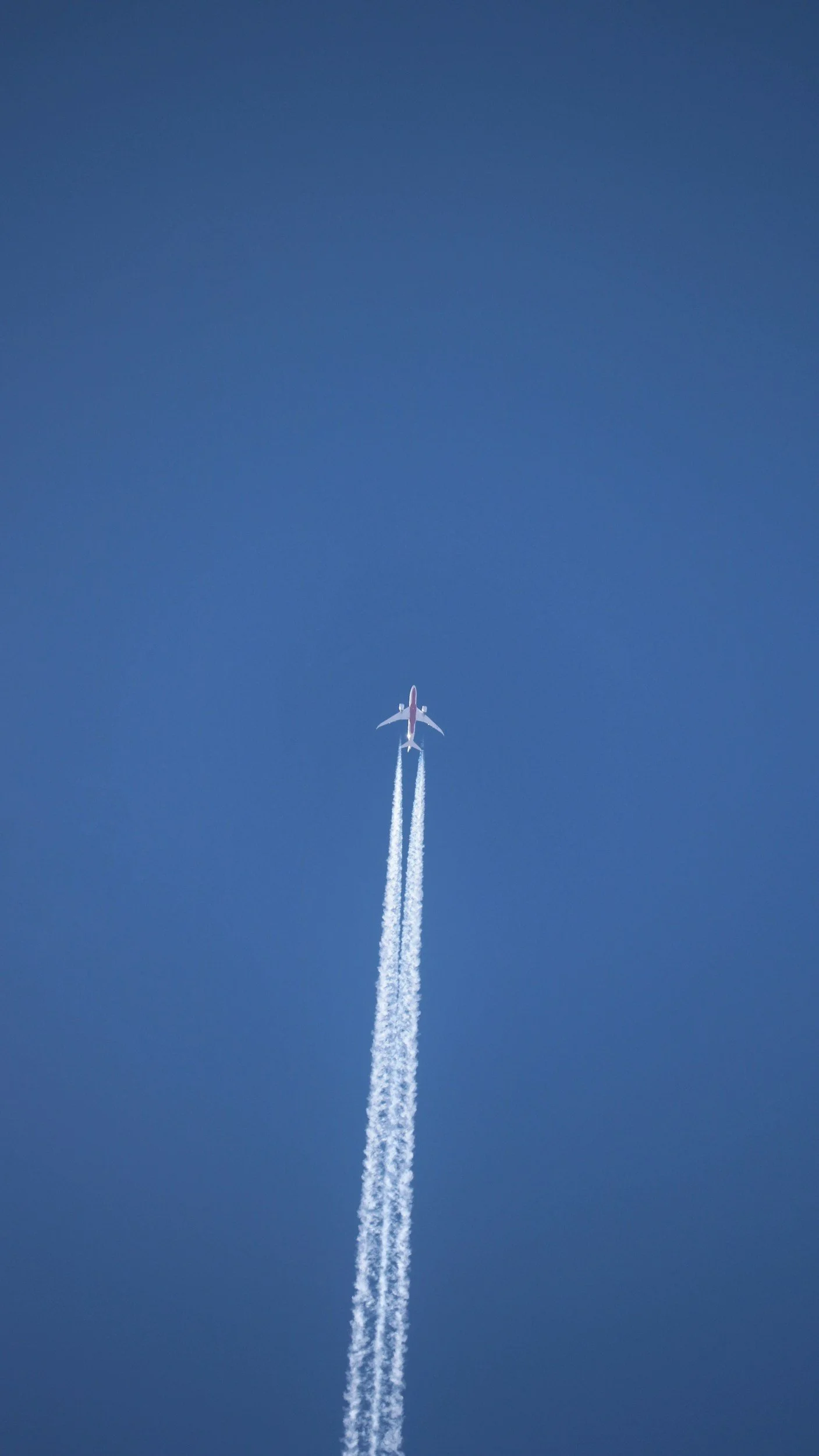 FLY