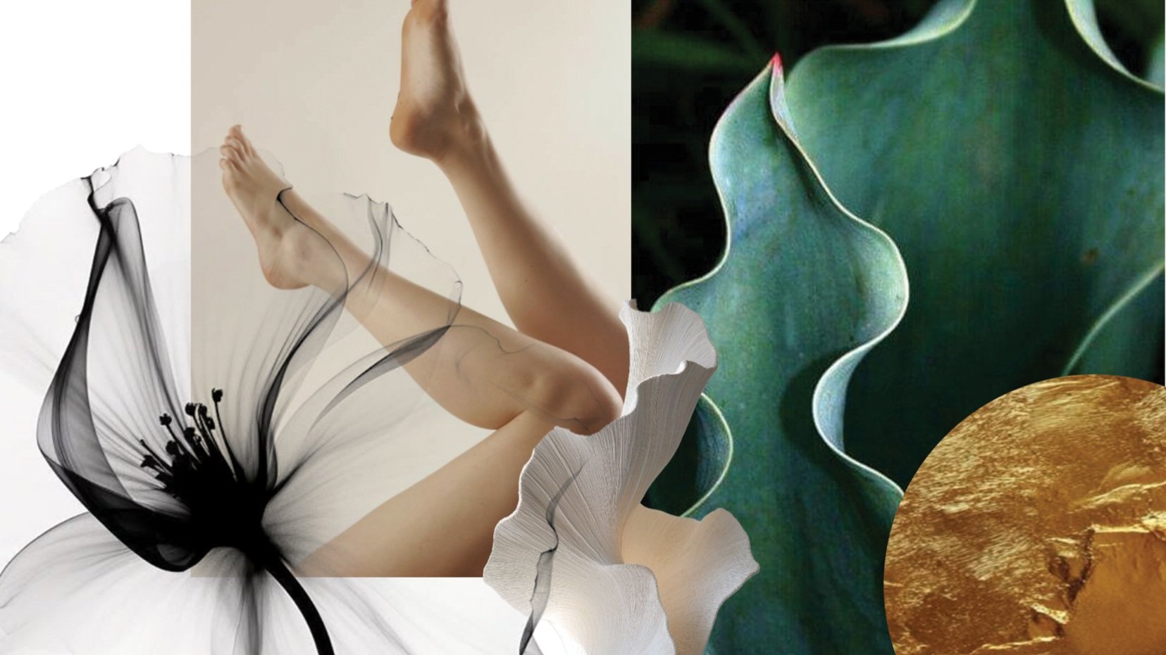 Untouched Rainforest_Luxury Fashion