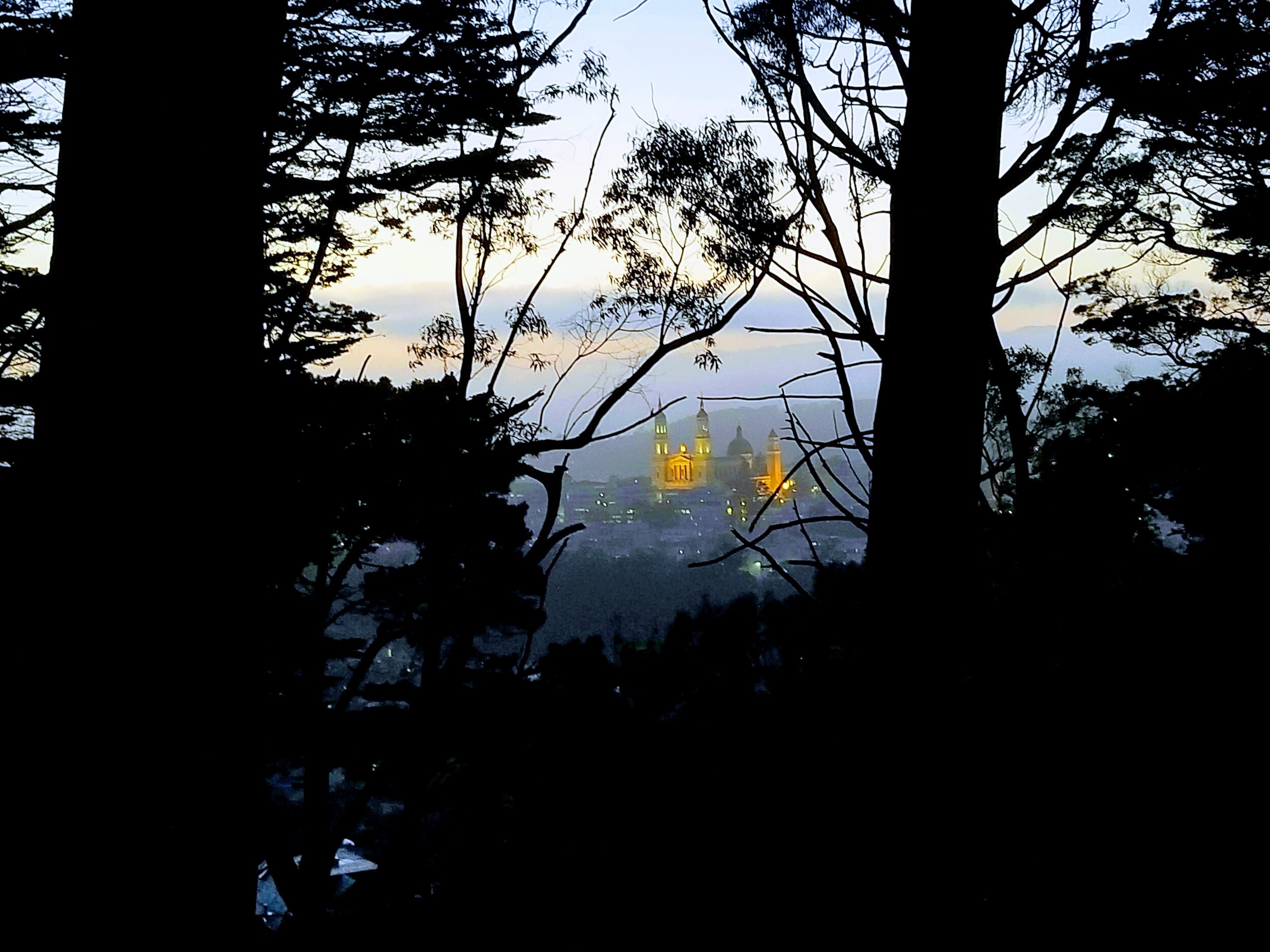20190603_205526-EFFECTS.jpg