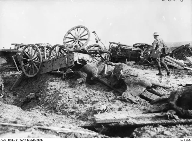 Frank Hurley, A track across the Westhoek Ridge ... in the Ypres sector, Oct 1917