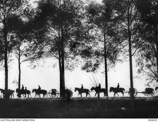 Australian artillery limbers in silhouette, Ypres,Sep 1917